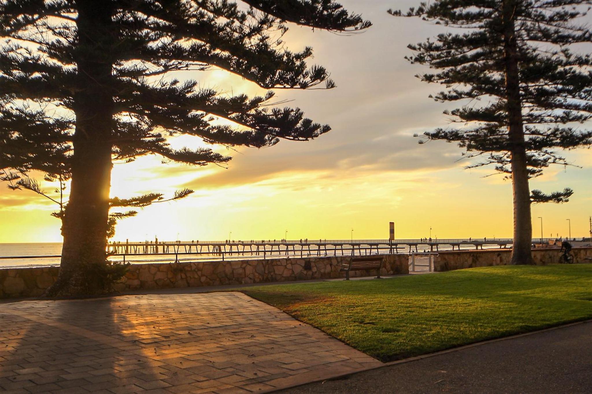 Seafield Tower Glenelg Apartment No 3