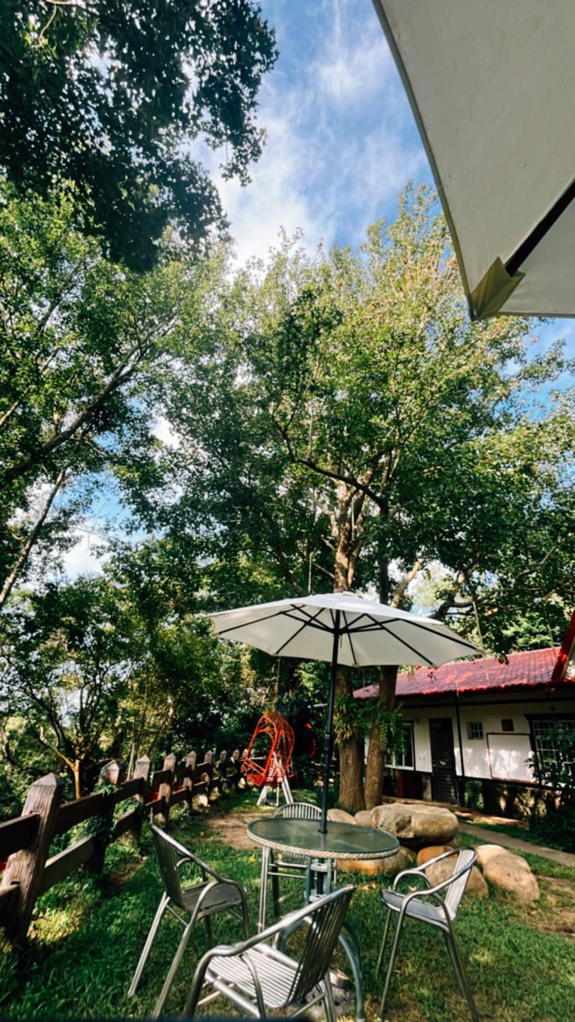 Haowangjiao Homestay view 3