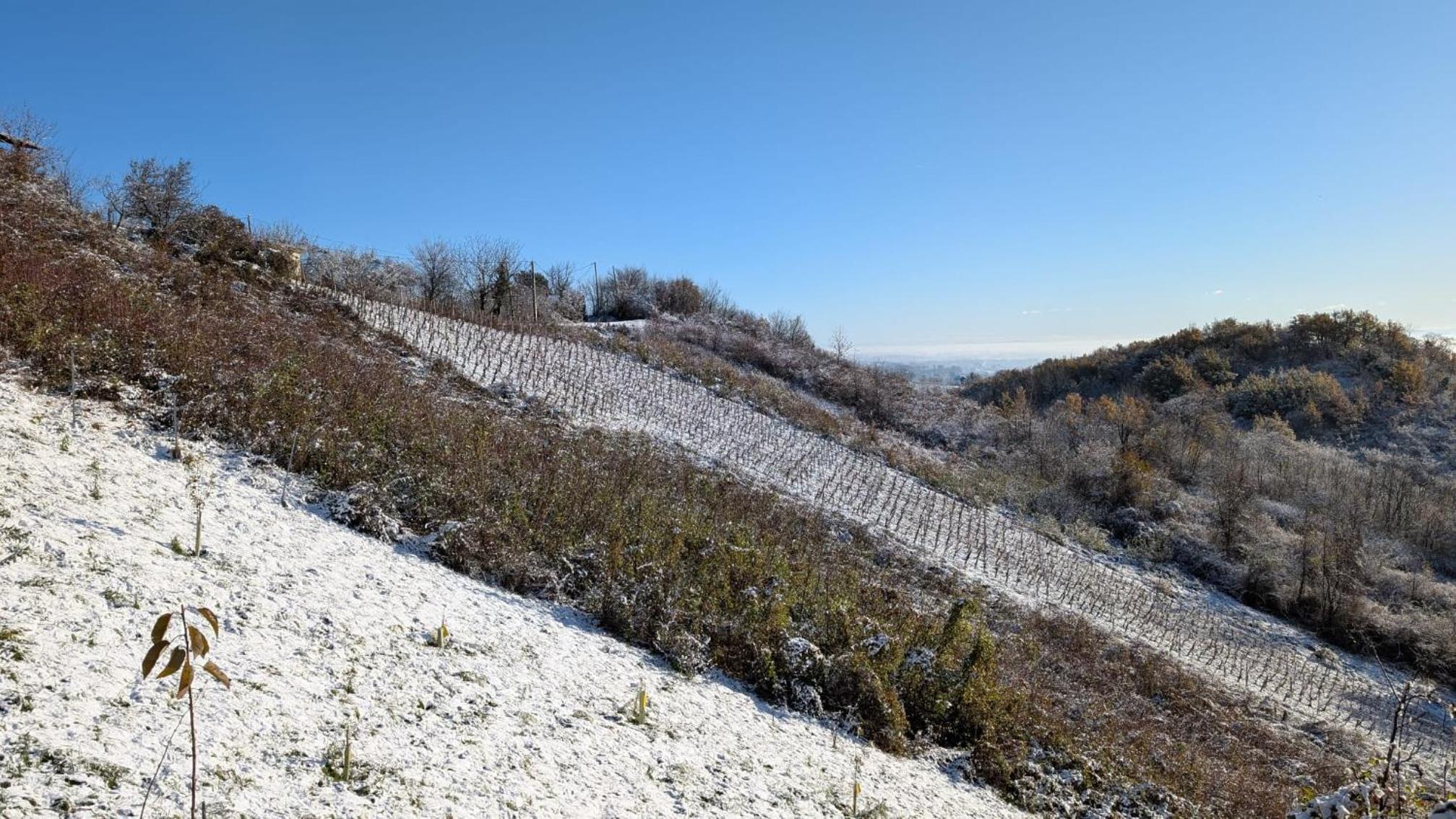 Vlaškovec Experience