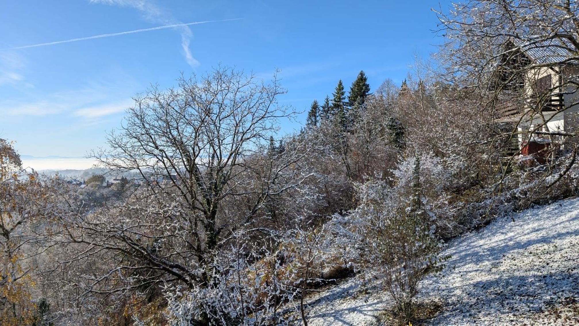 Vlaškovec Experience