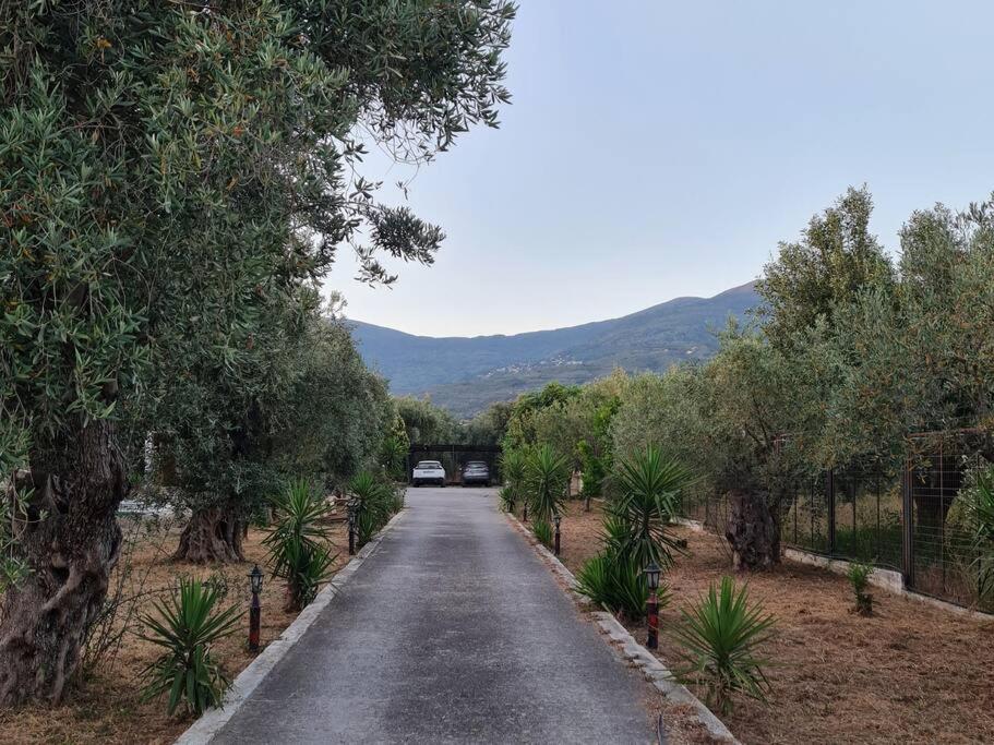 Iriti's Villa & Dahlia Studio