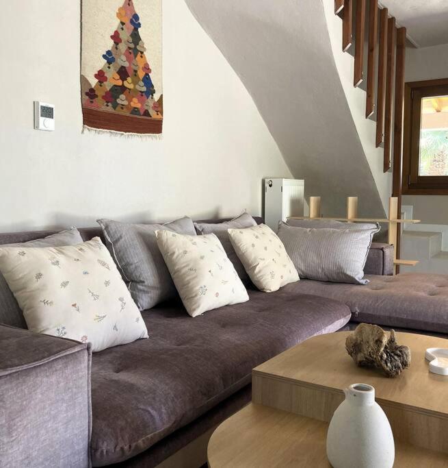 Iriti's Villa & Dahlia Studio