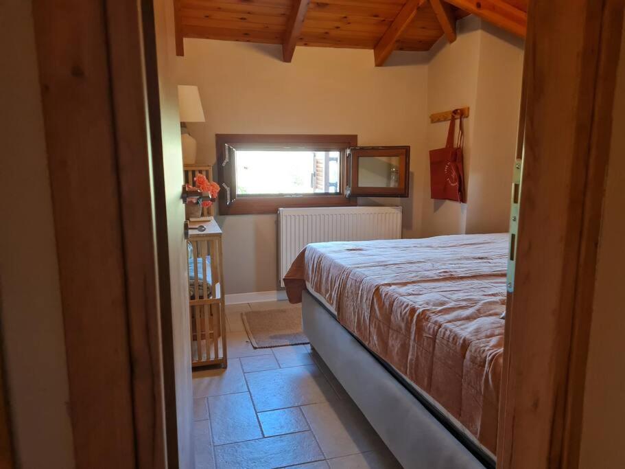 Iriti's Villa & Dahlia Studio