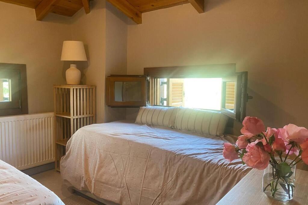 Iriti's Villa & Dahlia Studio