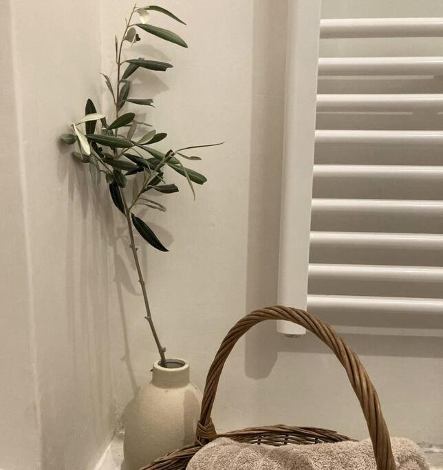 Iriti's Villa & Dahlia Studio