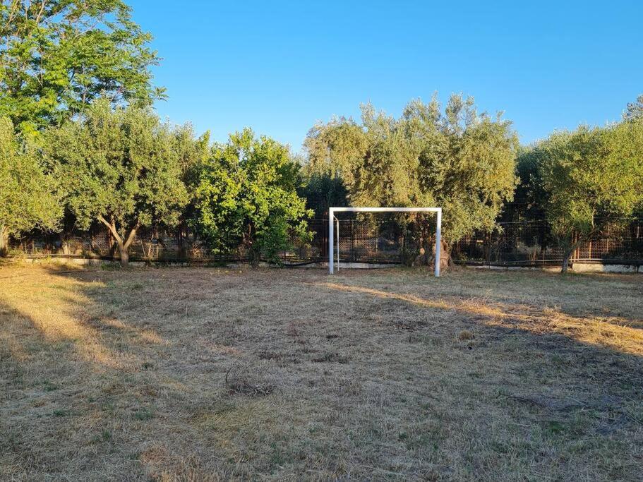 Iriti's Villa & Dahlia Studio