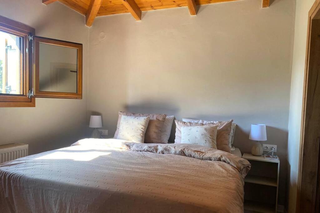 Iriti's Villa & Dahlia Studio