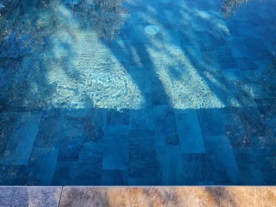 Iriti's Villa & Dahlia Studio