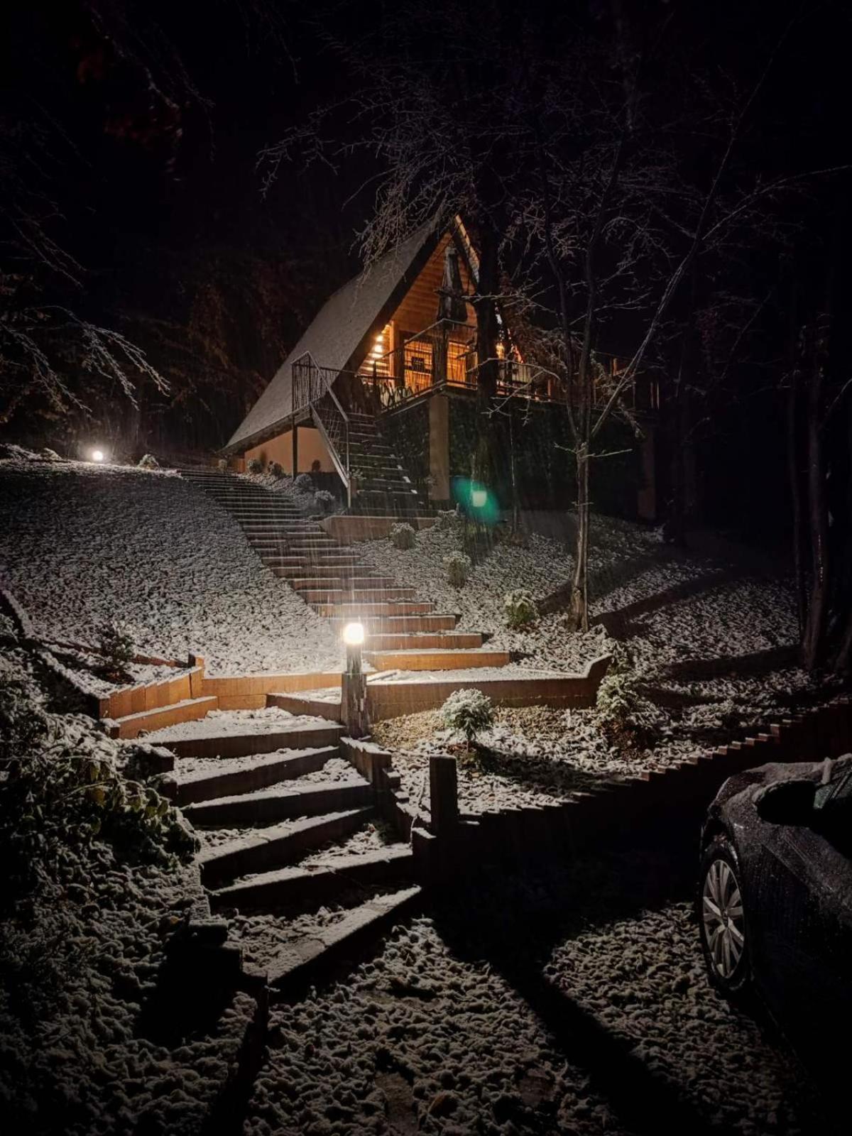 Silent woods Visoko