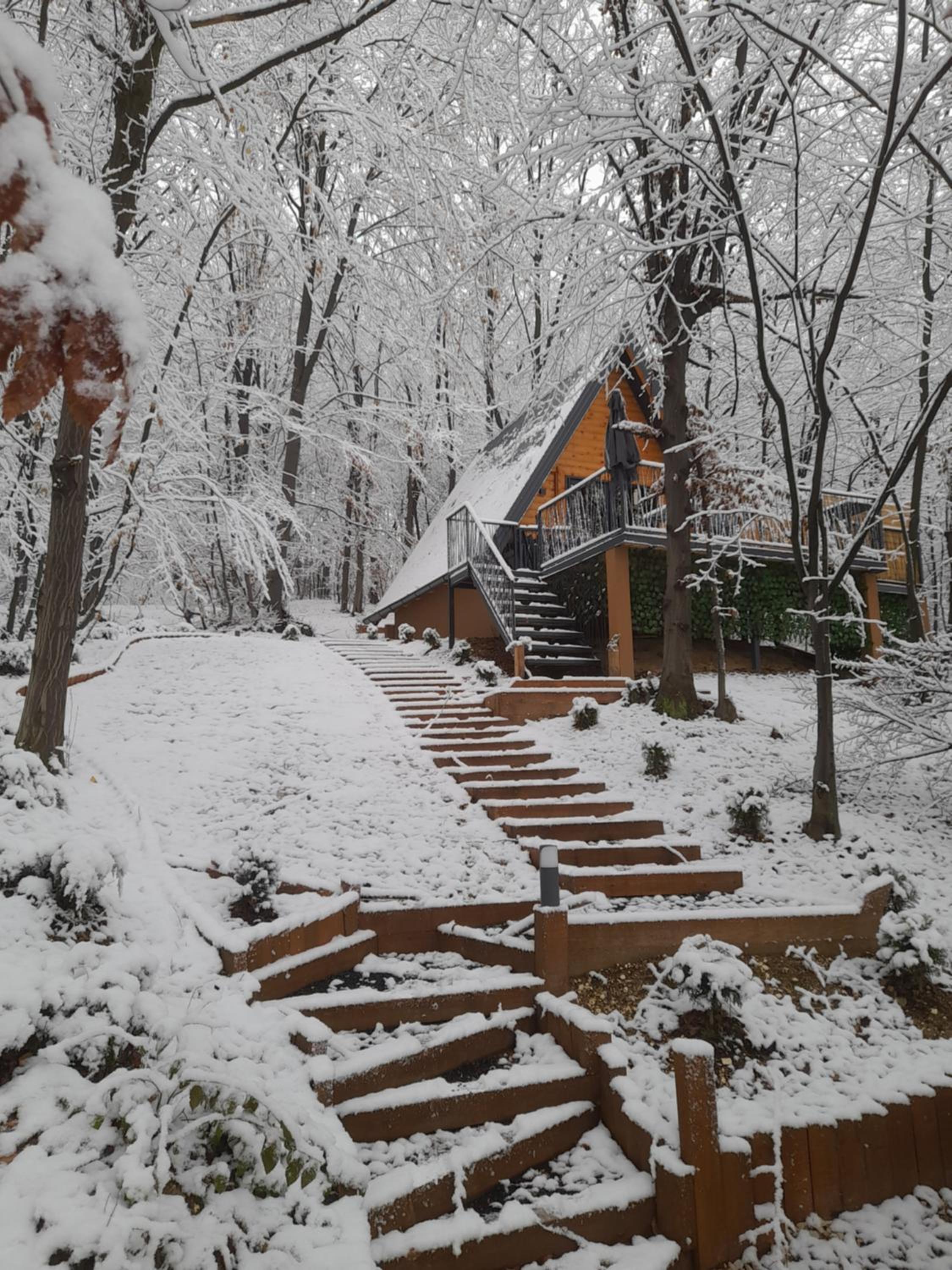Silent woods Visoko