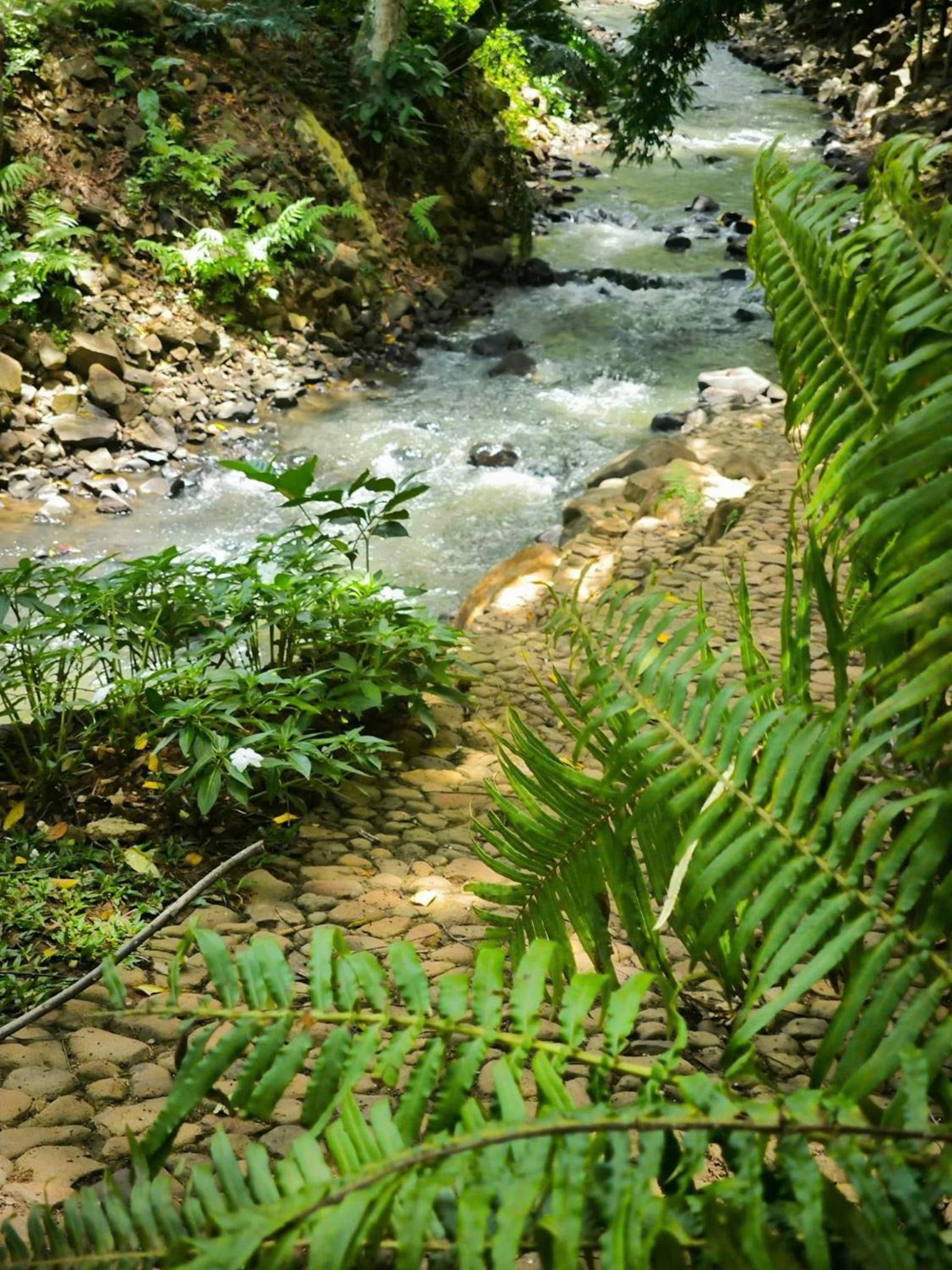 Zenda Glamping