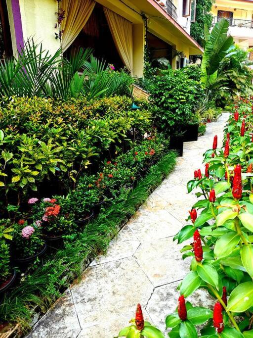Angies's Gardenia