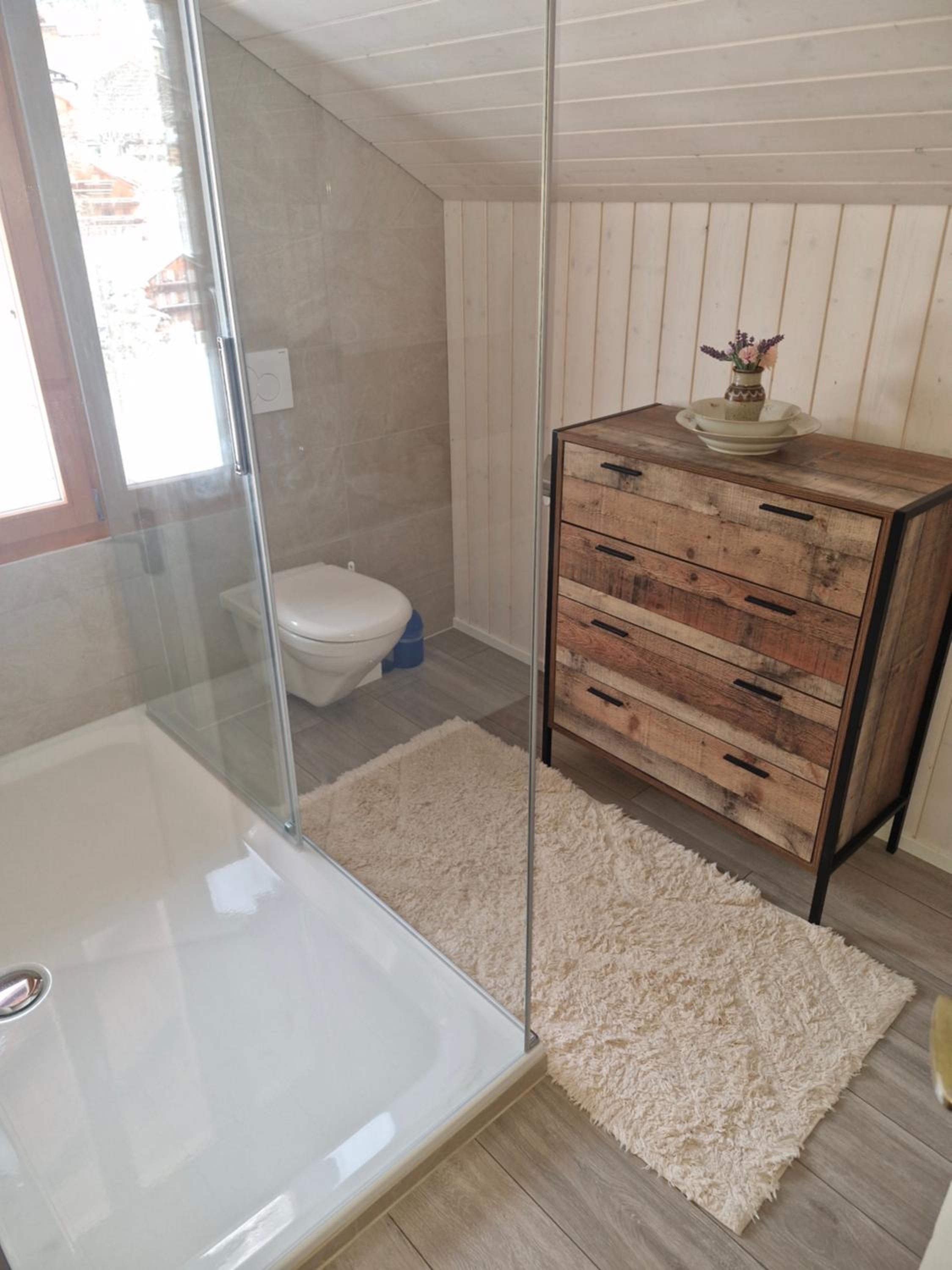 Traditional chalet in Wengen - Top Floor