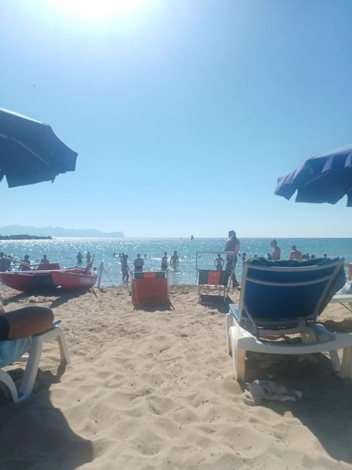 Conchiglia azzurra