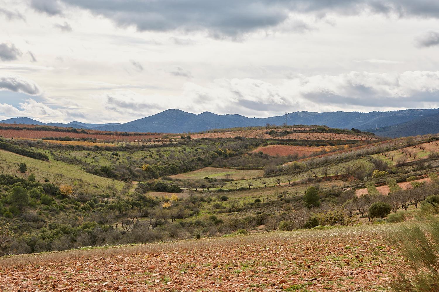 Casa Rural Pajarilla de Cosuenda