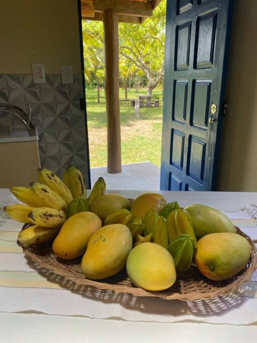 Casa do Coqueiral - Moreré