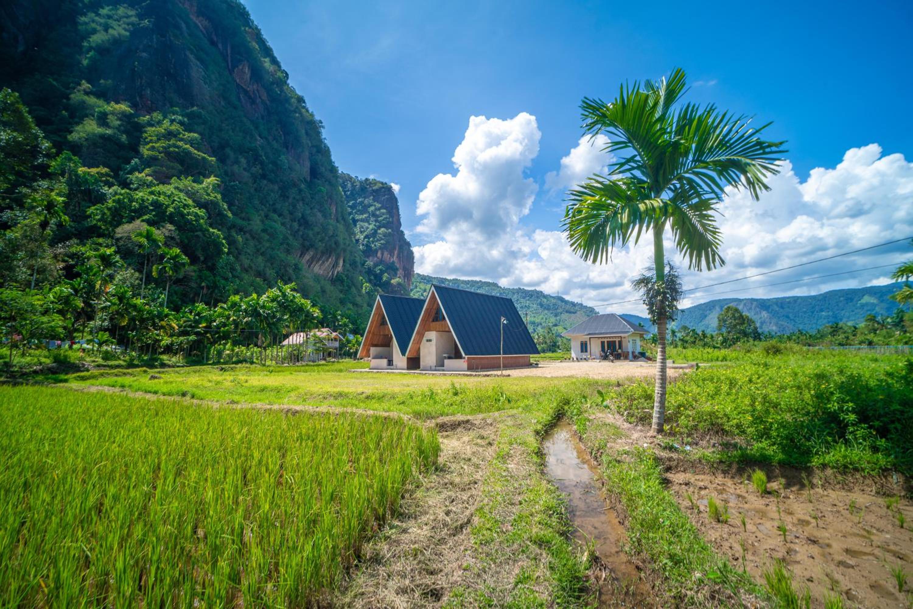 Livio Homestay