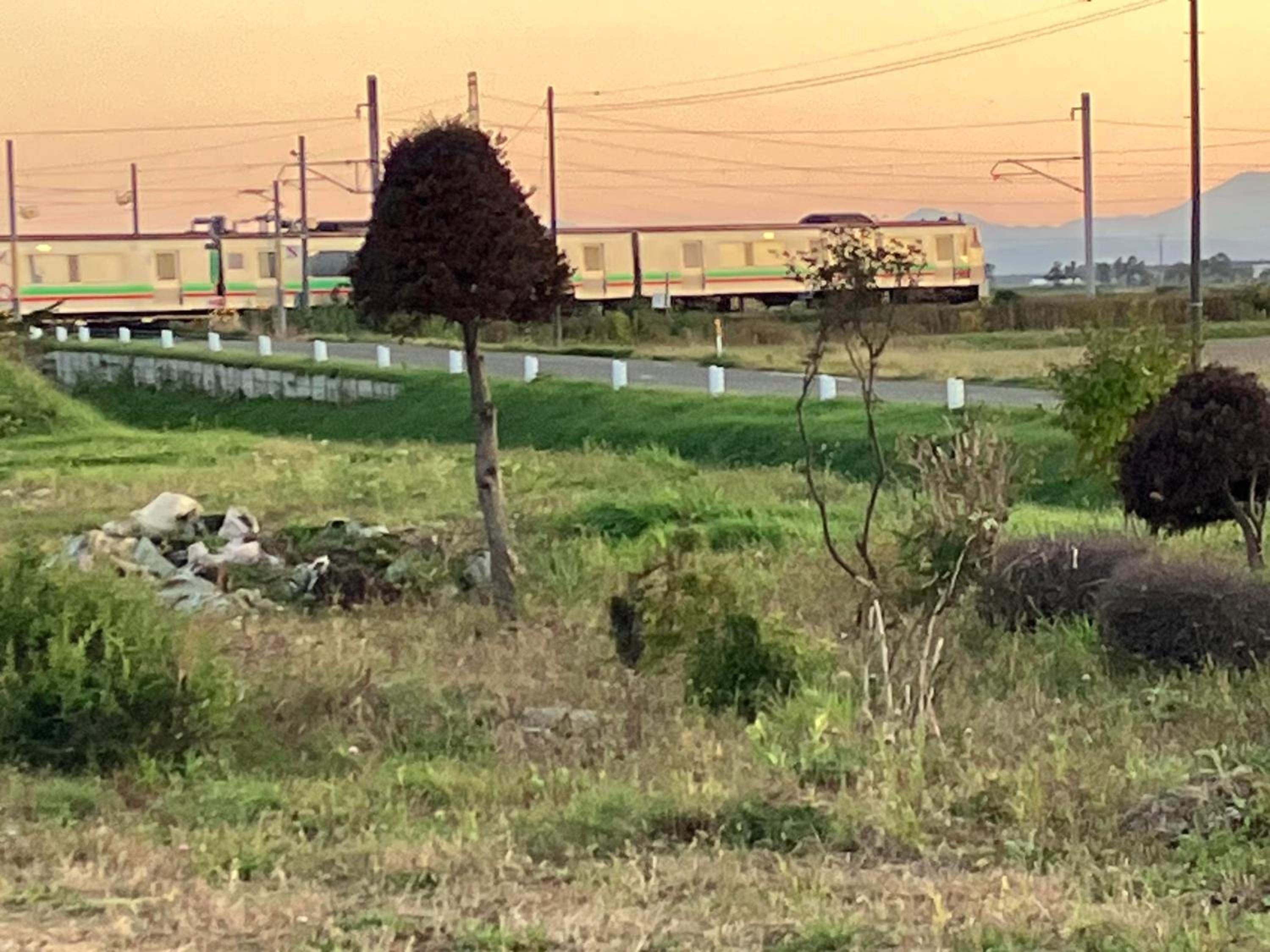 TrainLineField