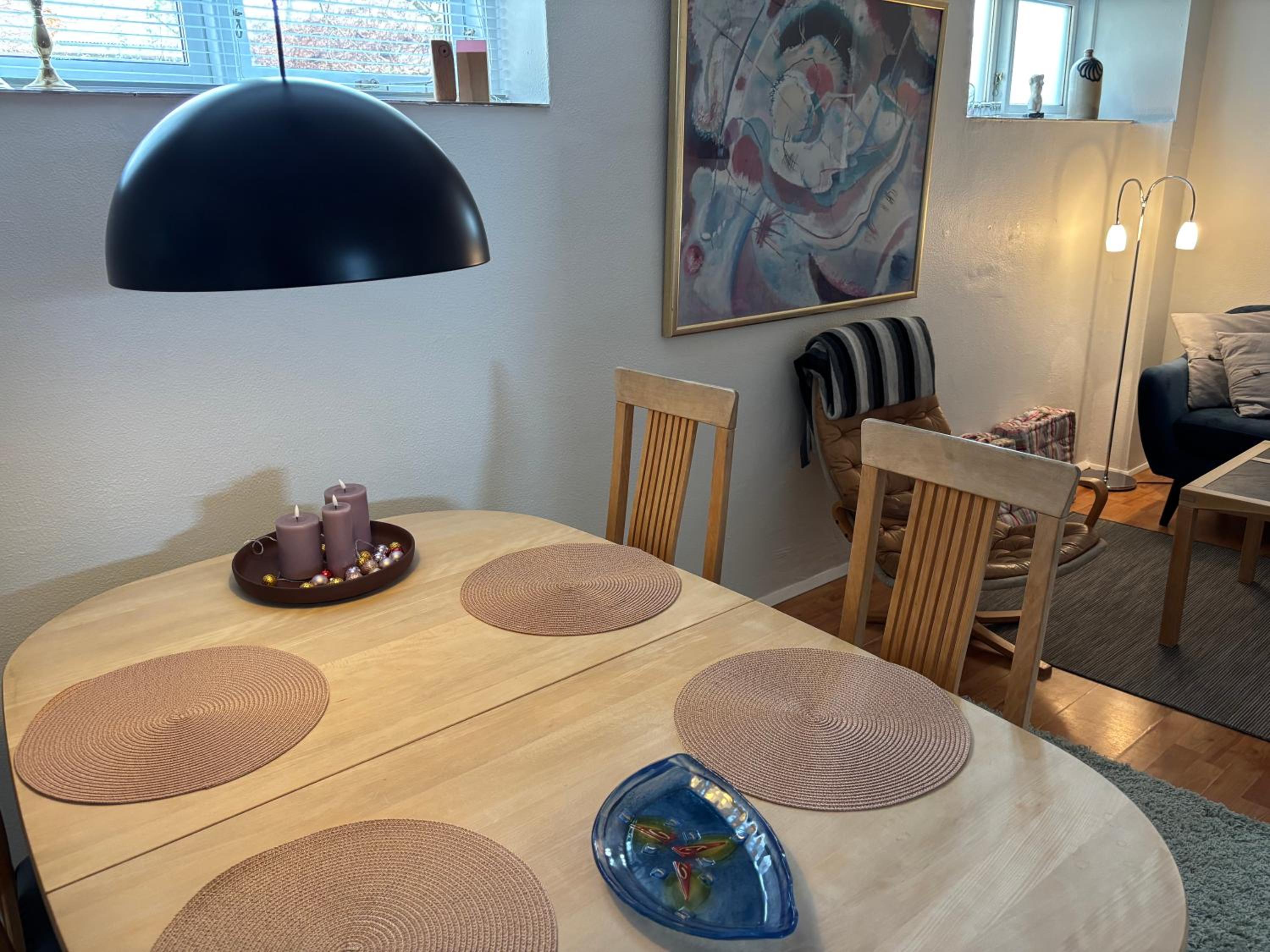 Hyggelig lejlighed tæt på centrum