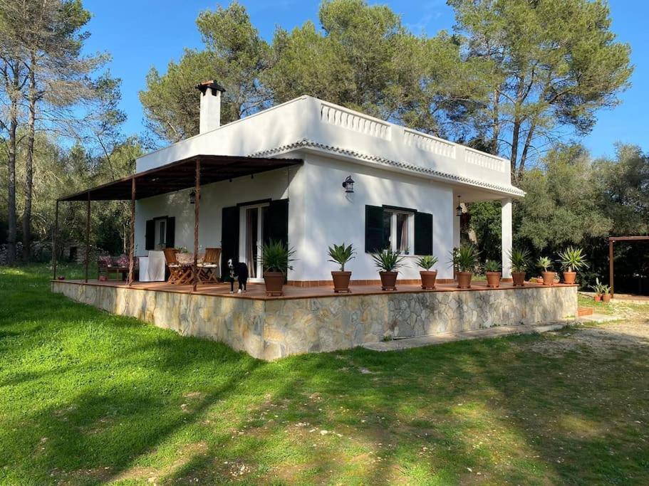 Casa Rural Sa Rota de Can Xito view 2