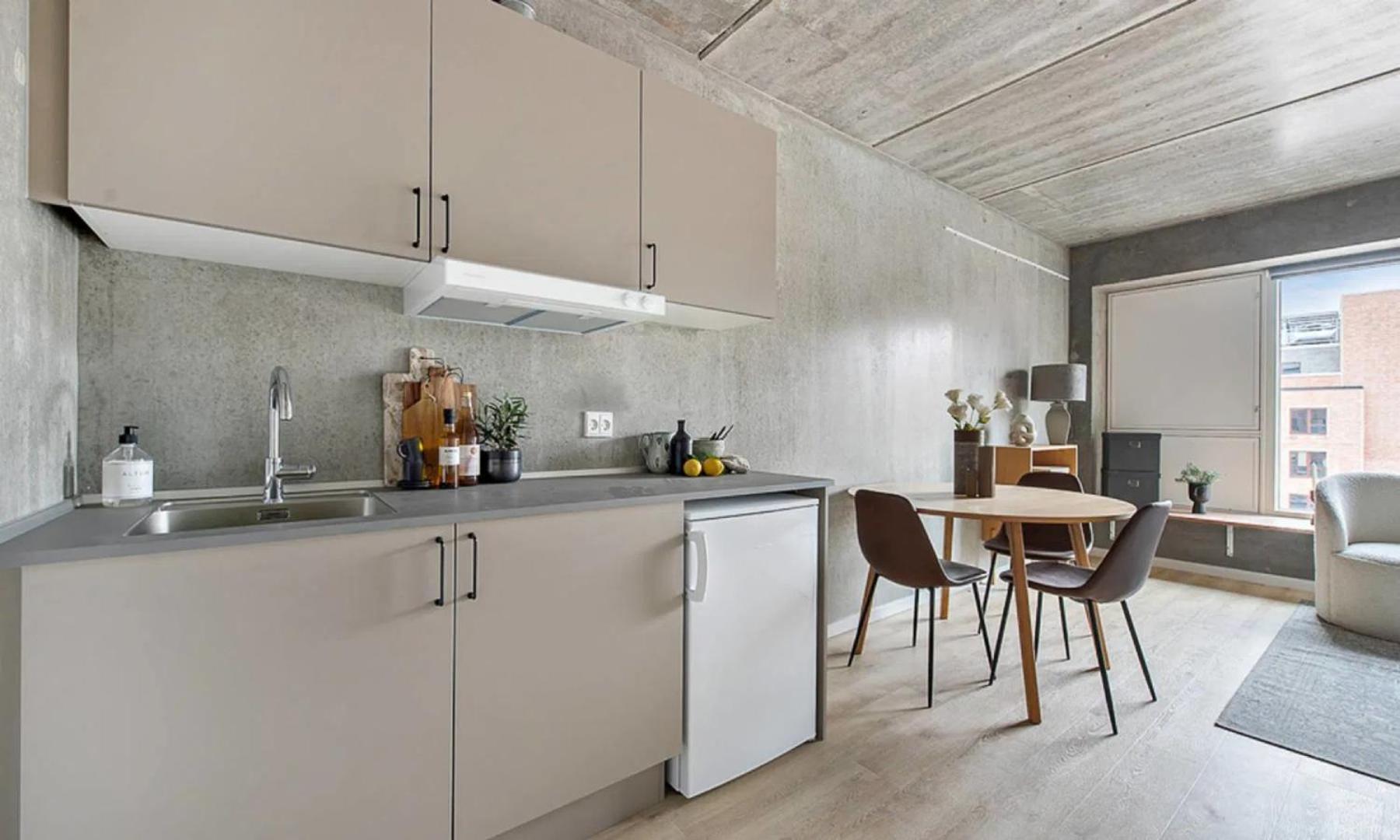 Tastefull and modern studio