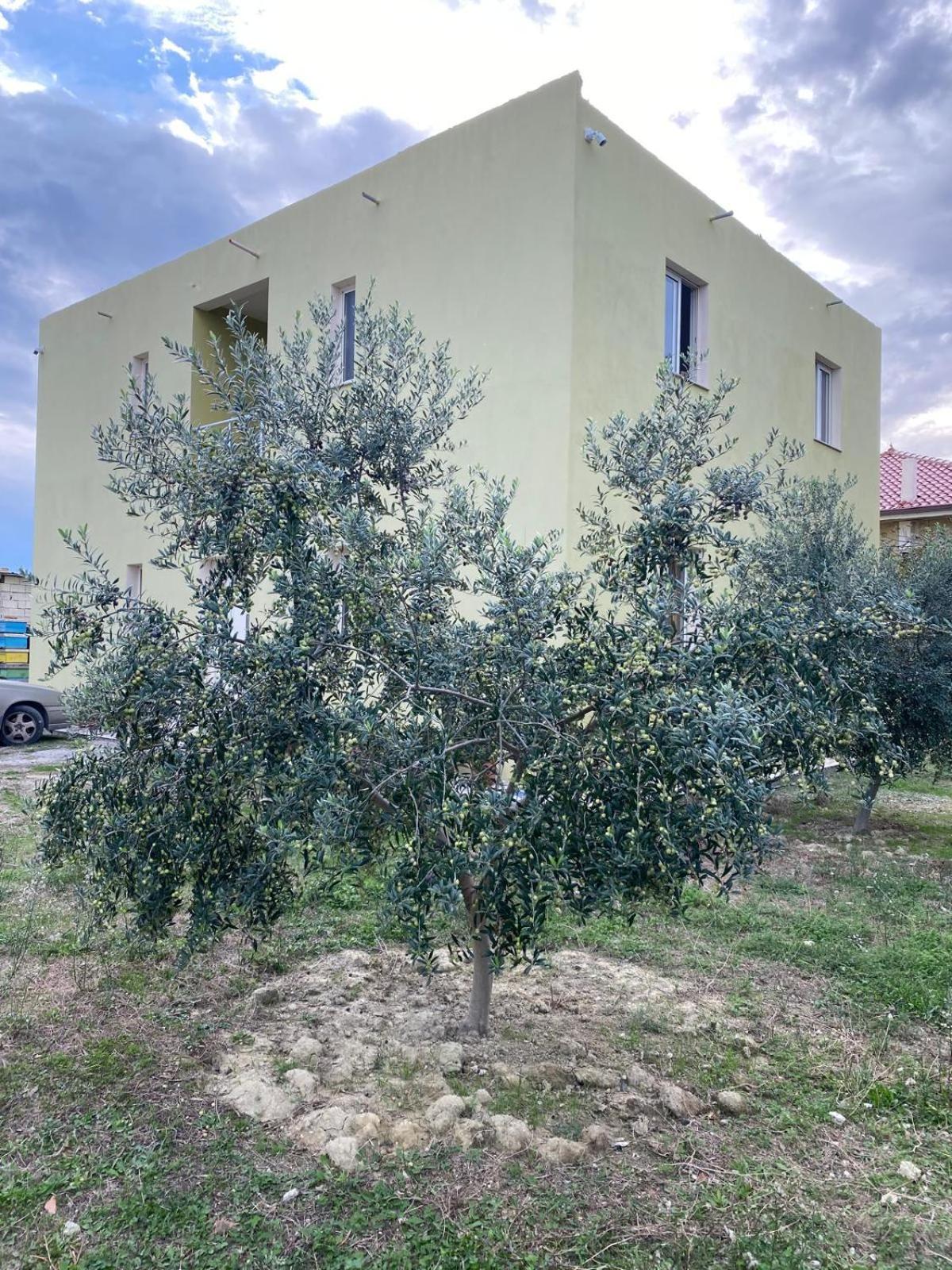 Guest House Bujtina ISMET GJELI