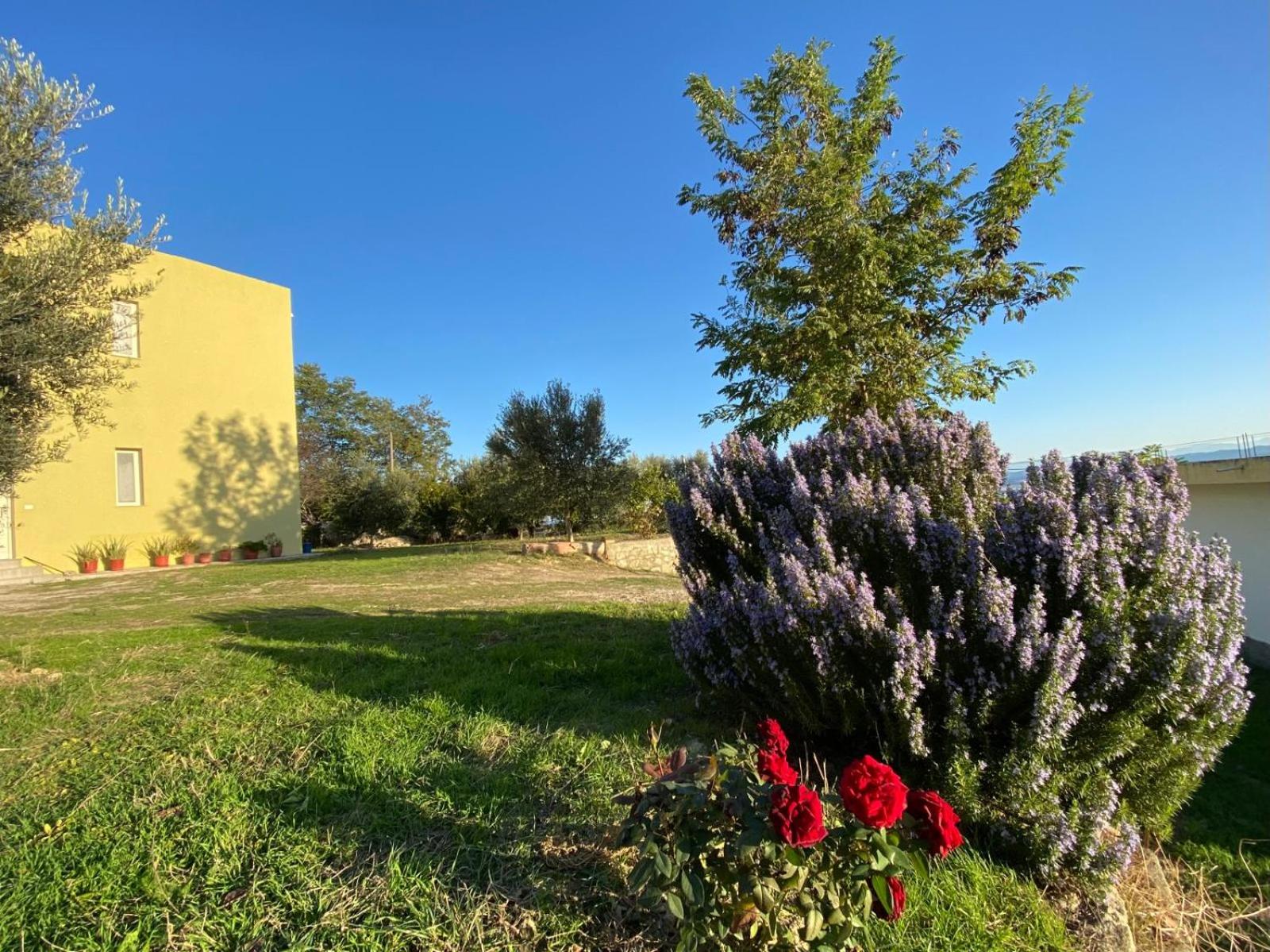 Guest House Bujtina ISMET GJELI