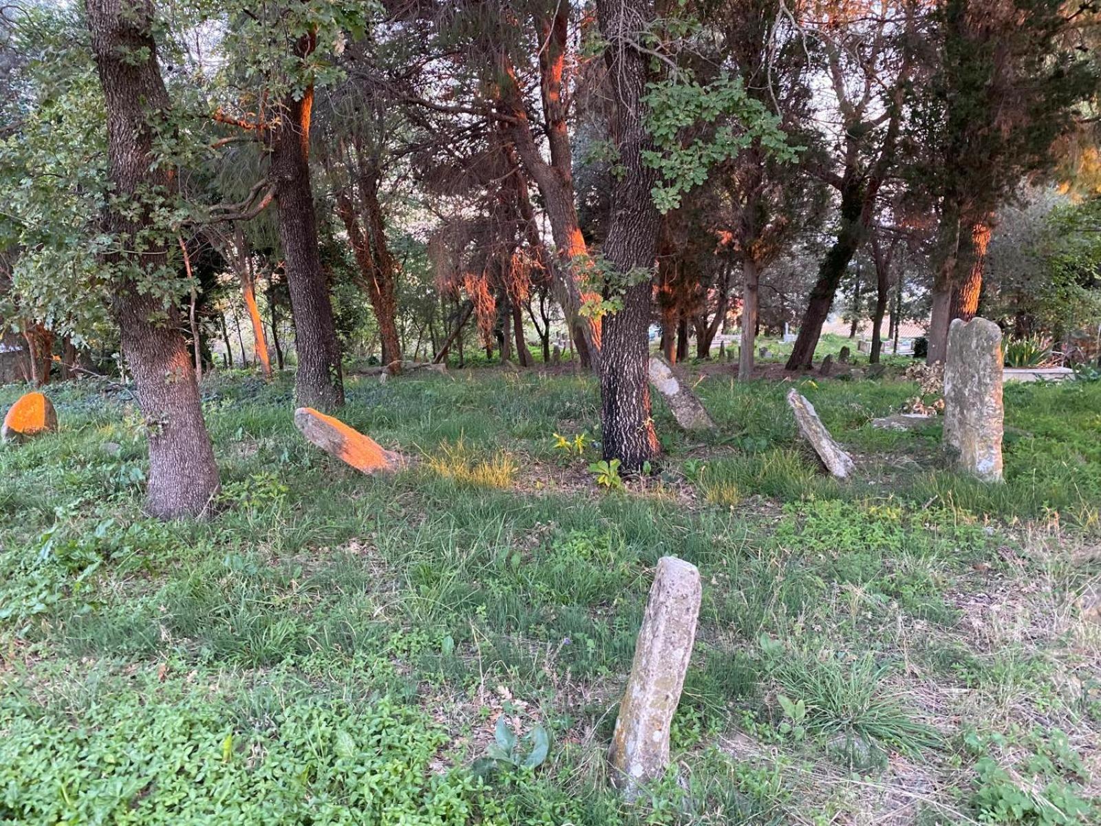 Guest House Bujtina ISMET GJELI