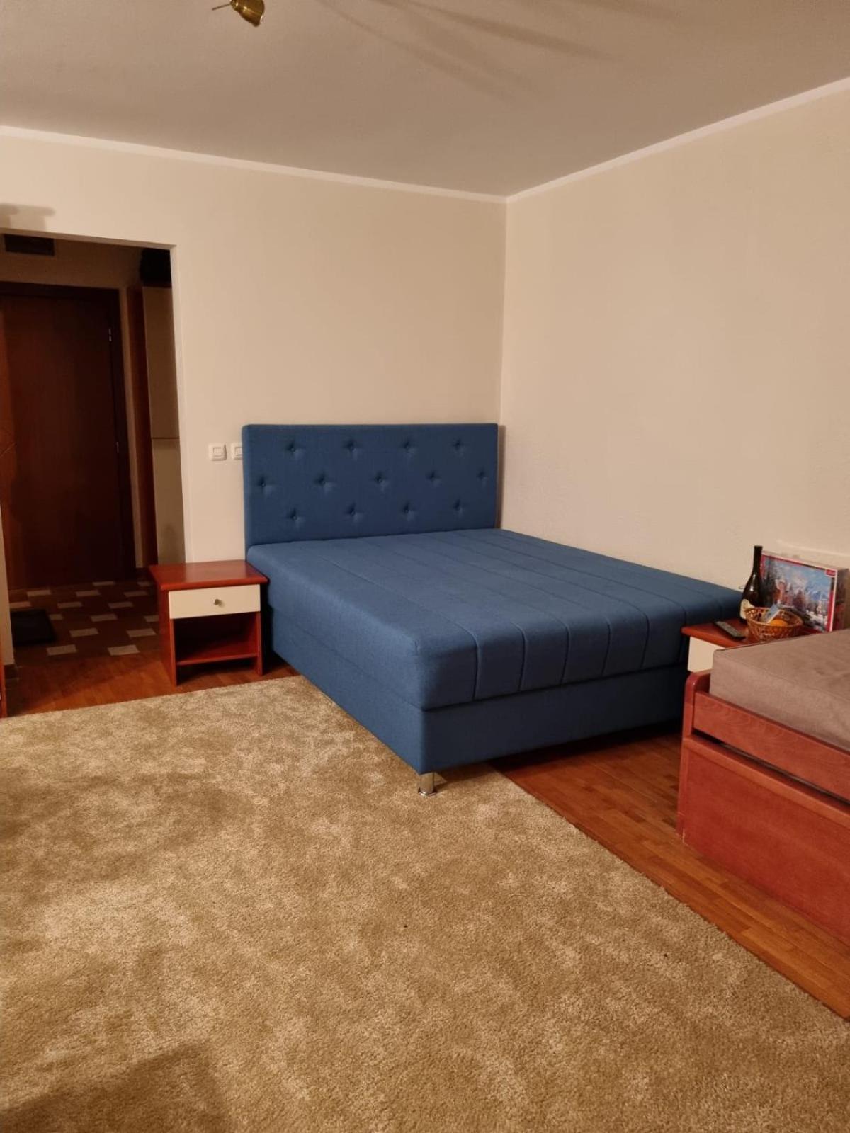 Apartman Vrh,Kopaonik view 2