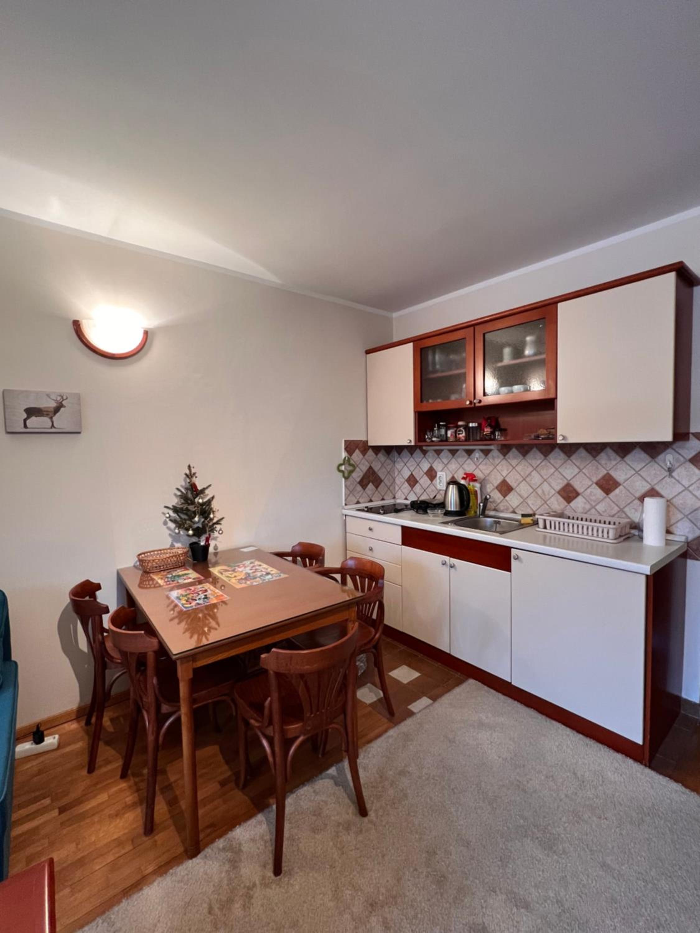 Apartman Vrh,Kopaonik view 3