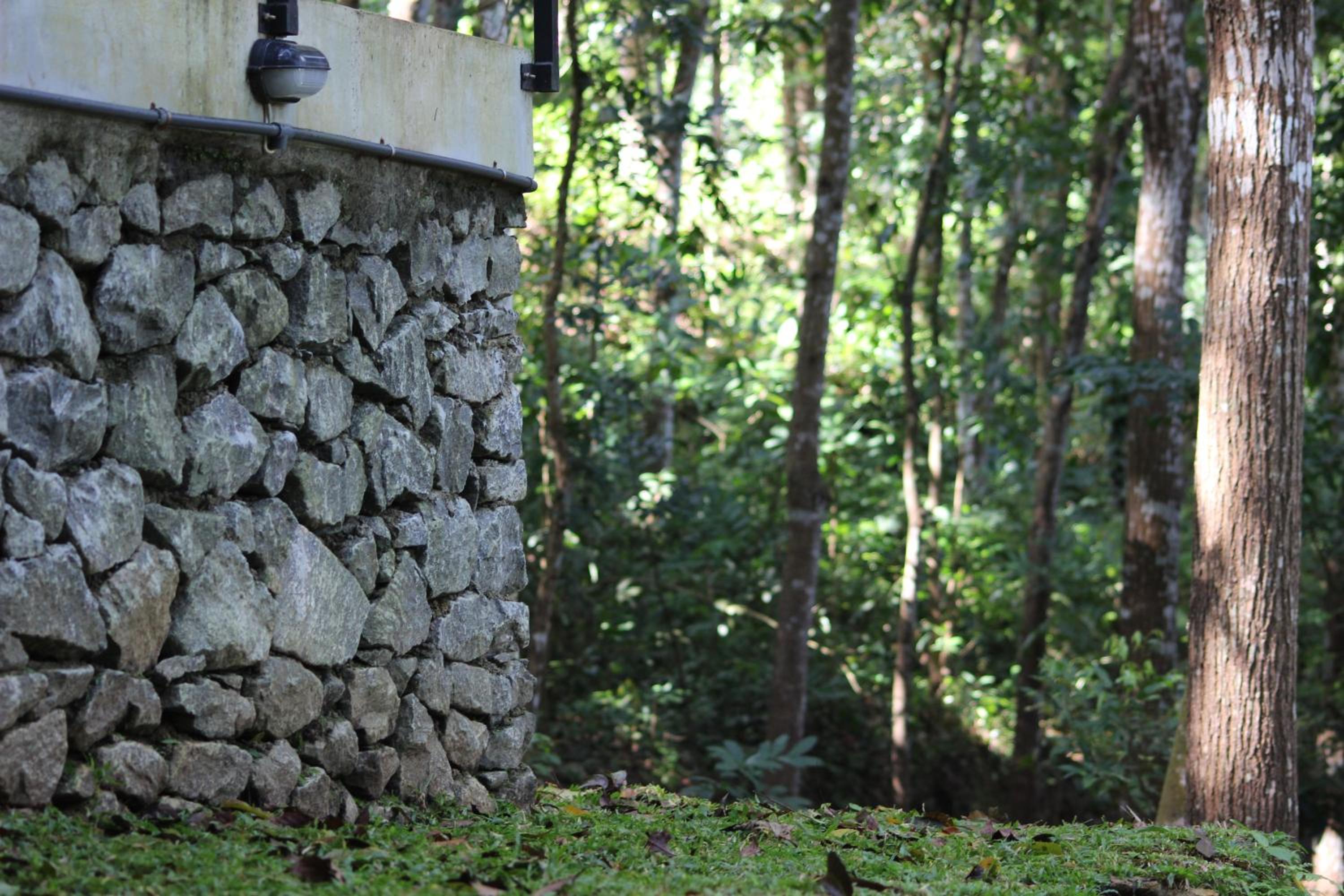 Trickling Stream Campsite