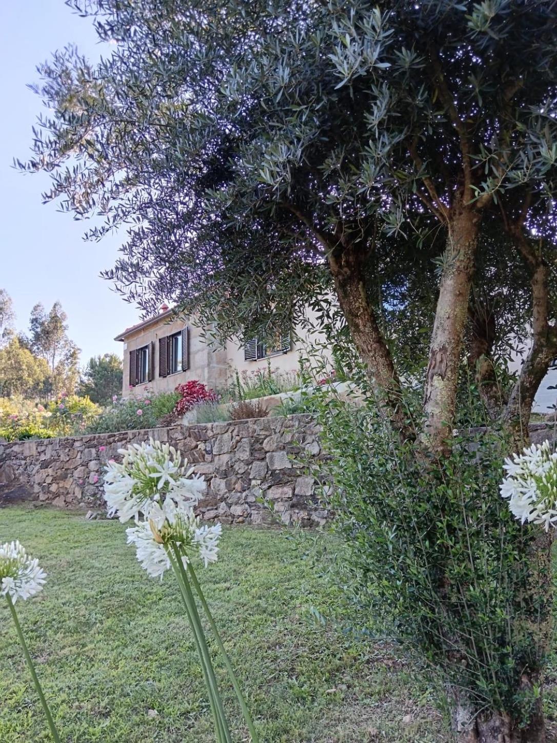Casa dos Matos