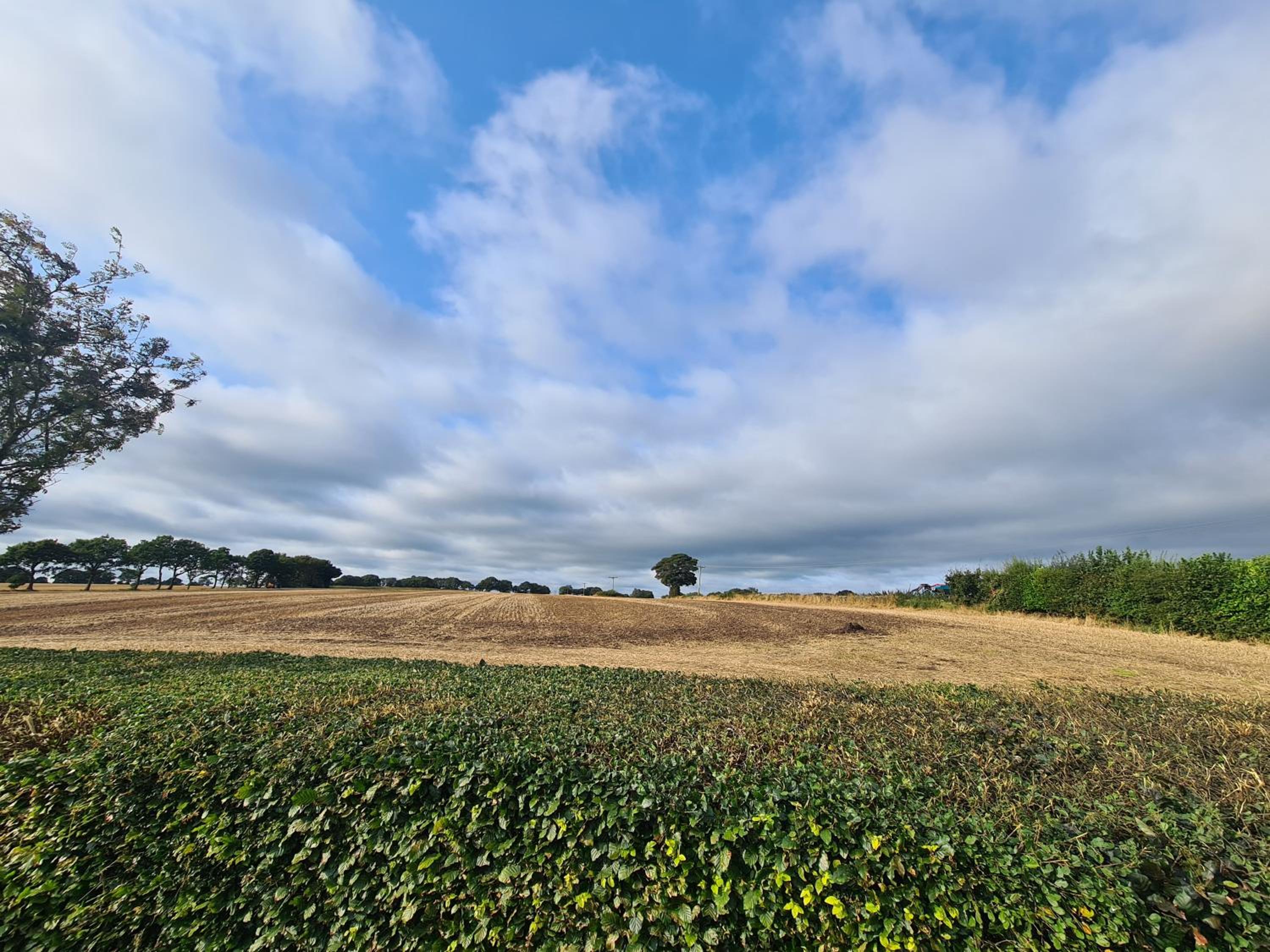 The Retreat view 2