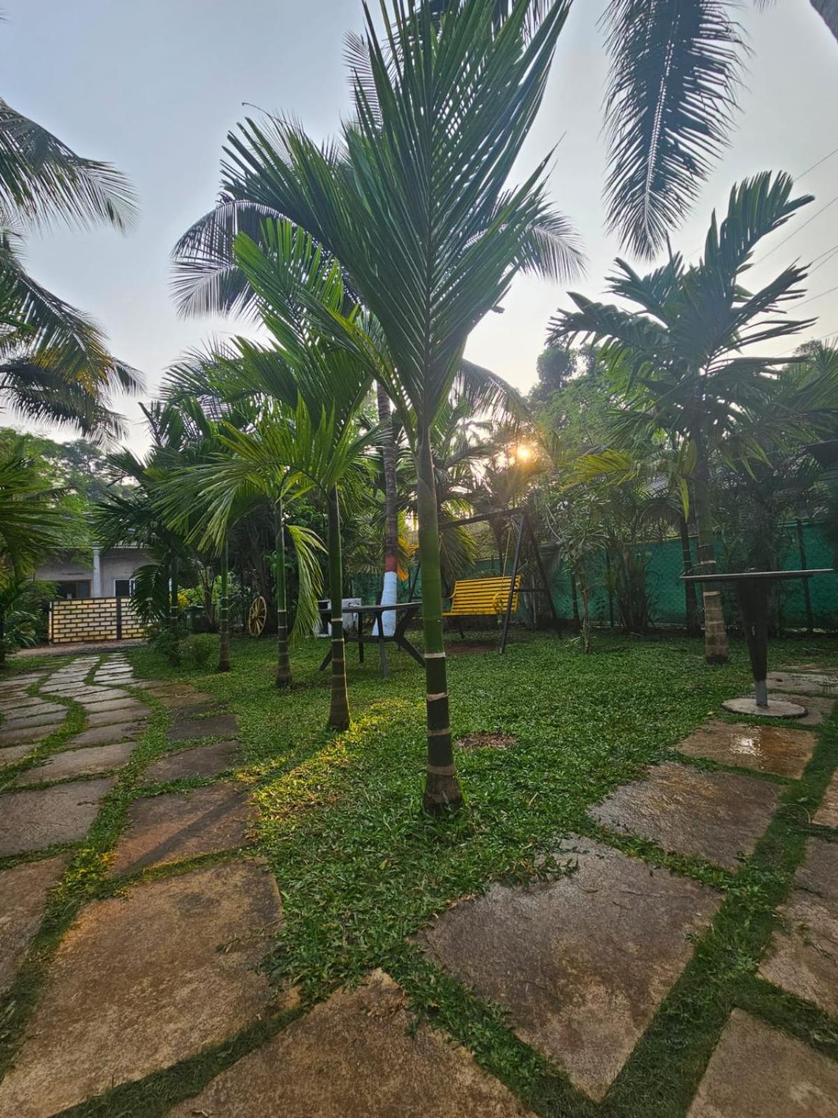 Palm Paradise view 4