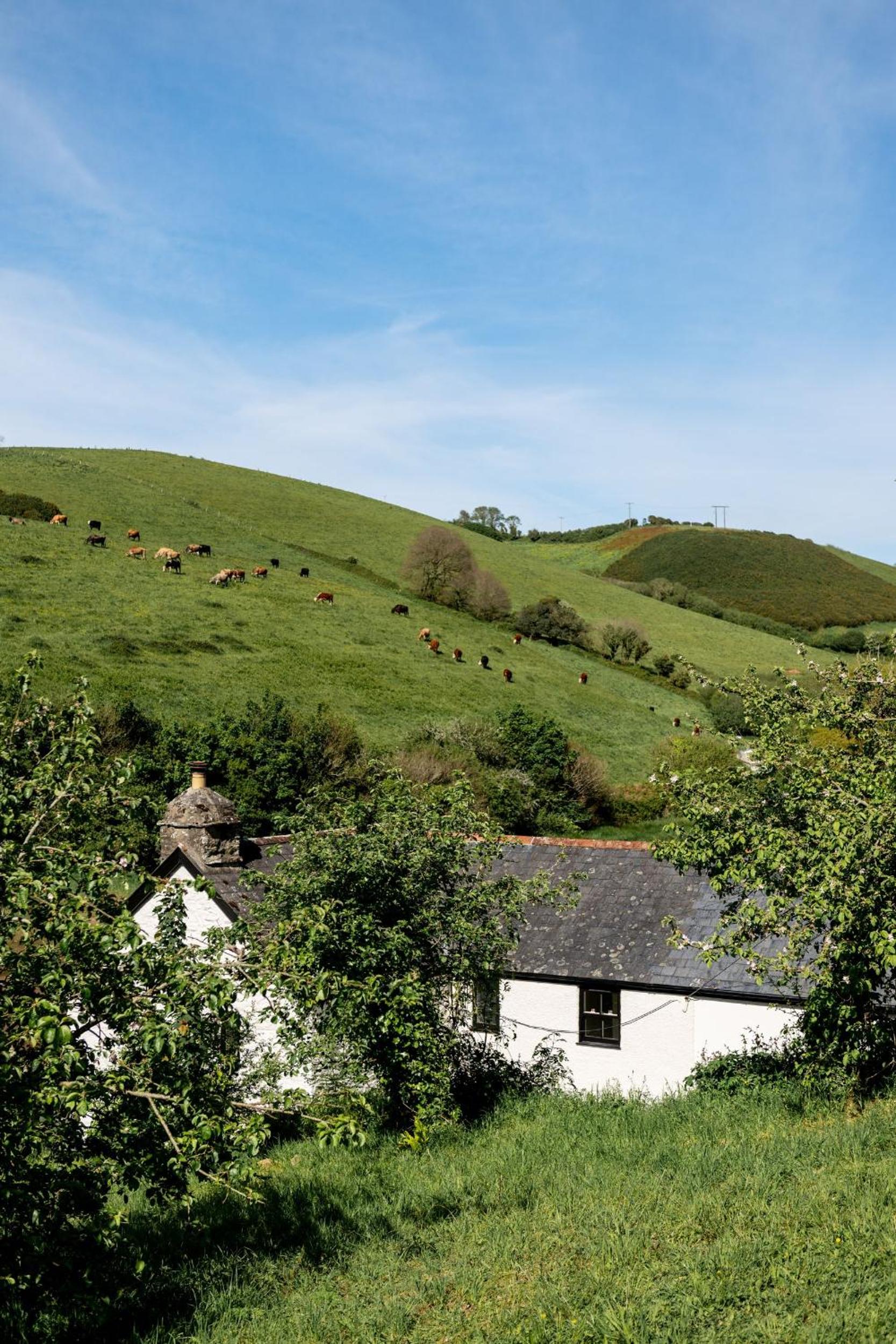 Waterhead Cottage