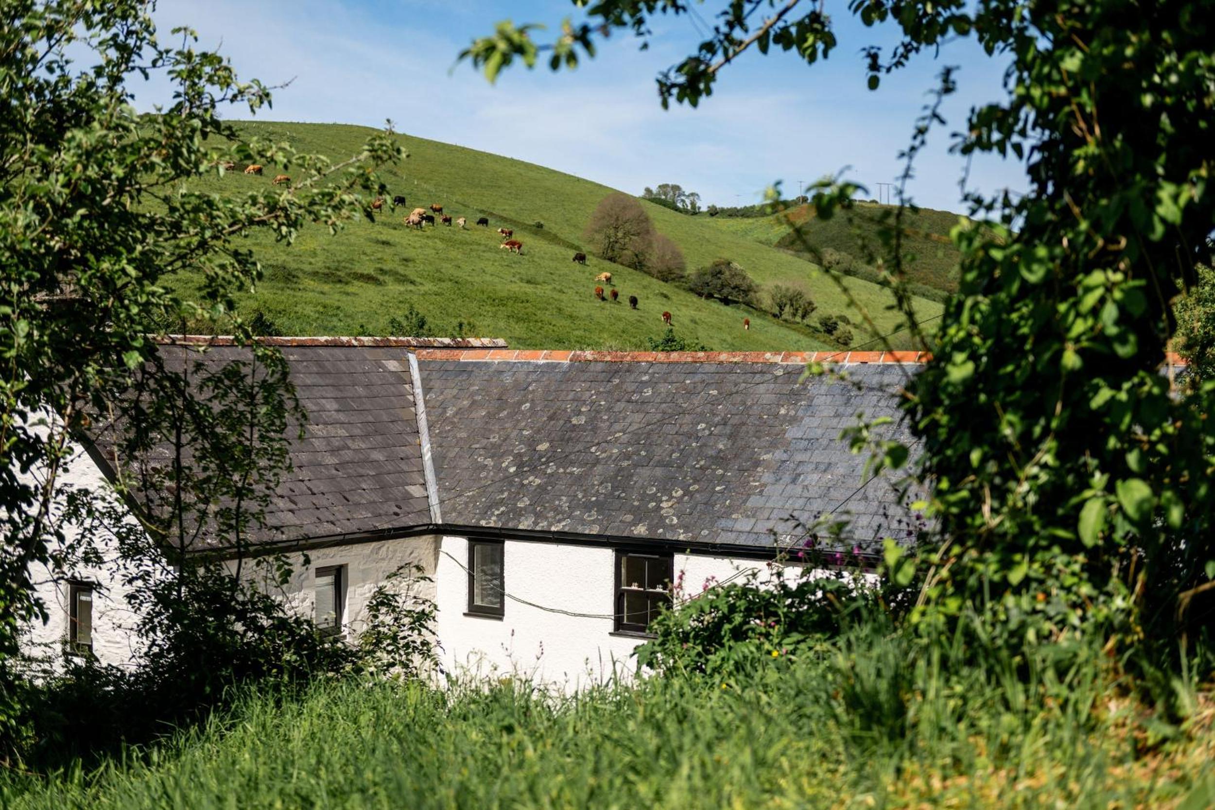 Waterhead Cottage