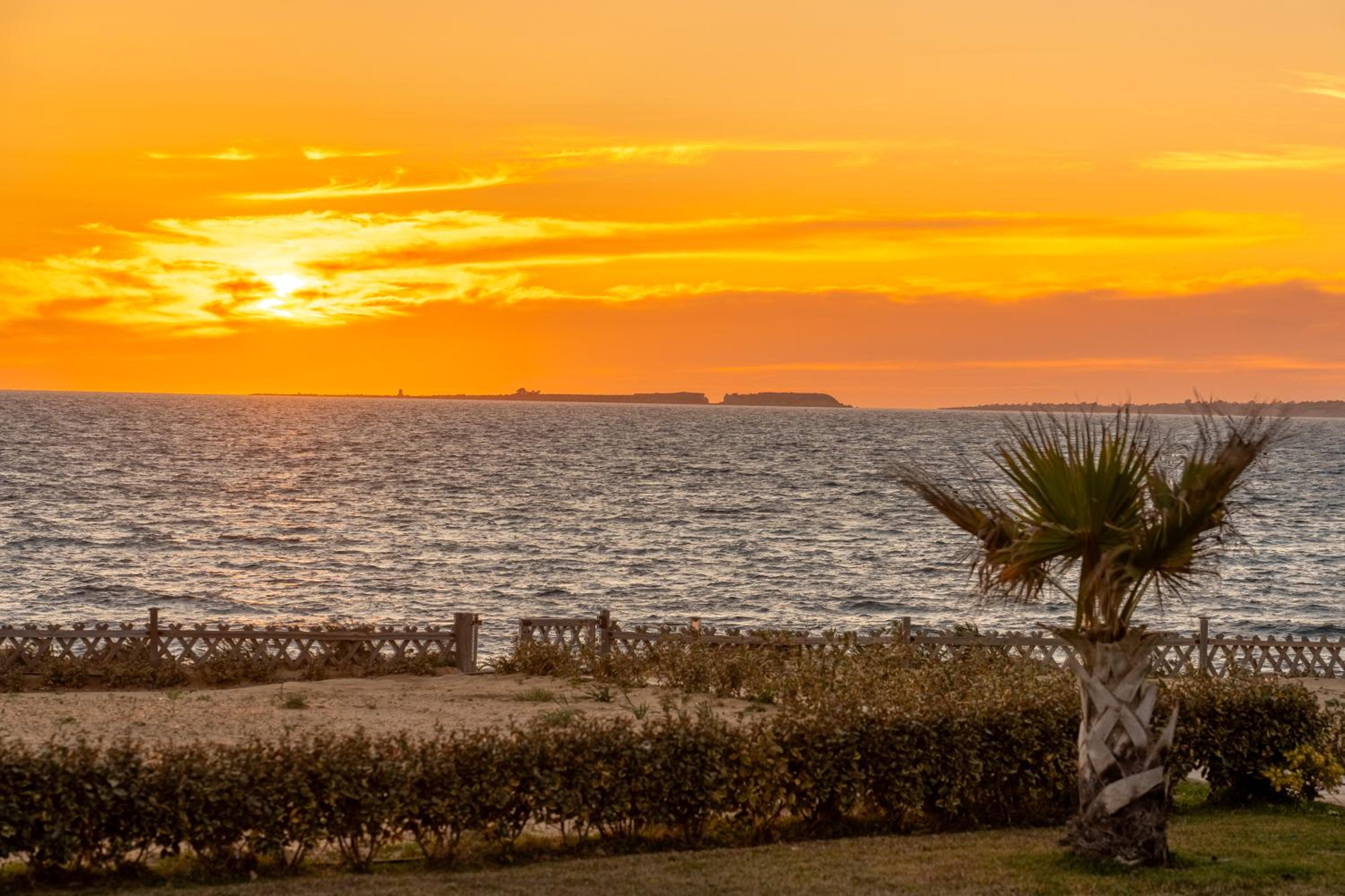 Sandoa Residence