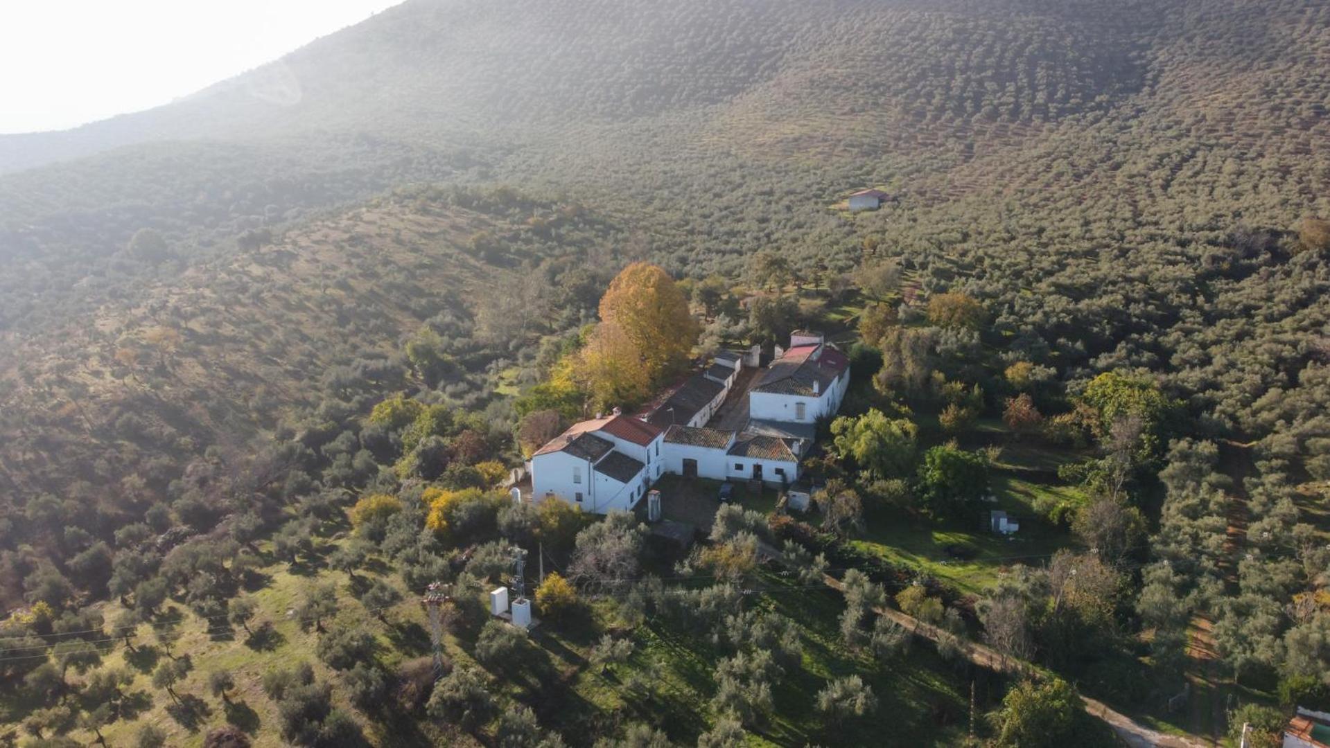 Cortijo San Julián