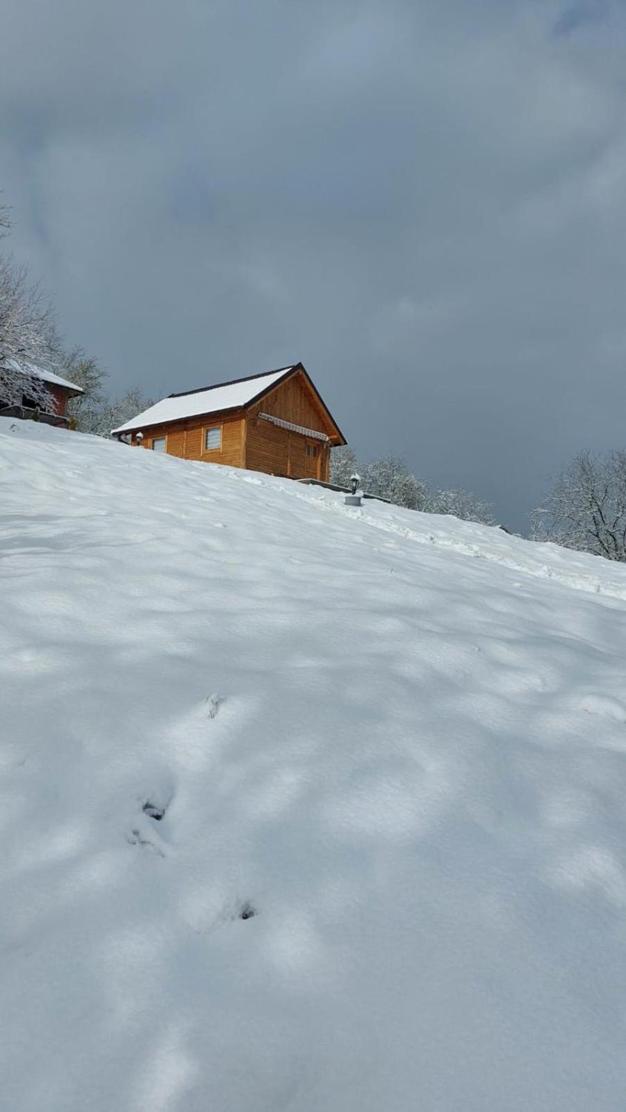 Vikendica Monte