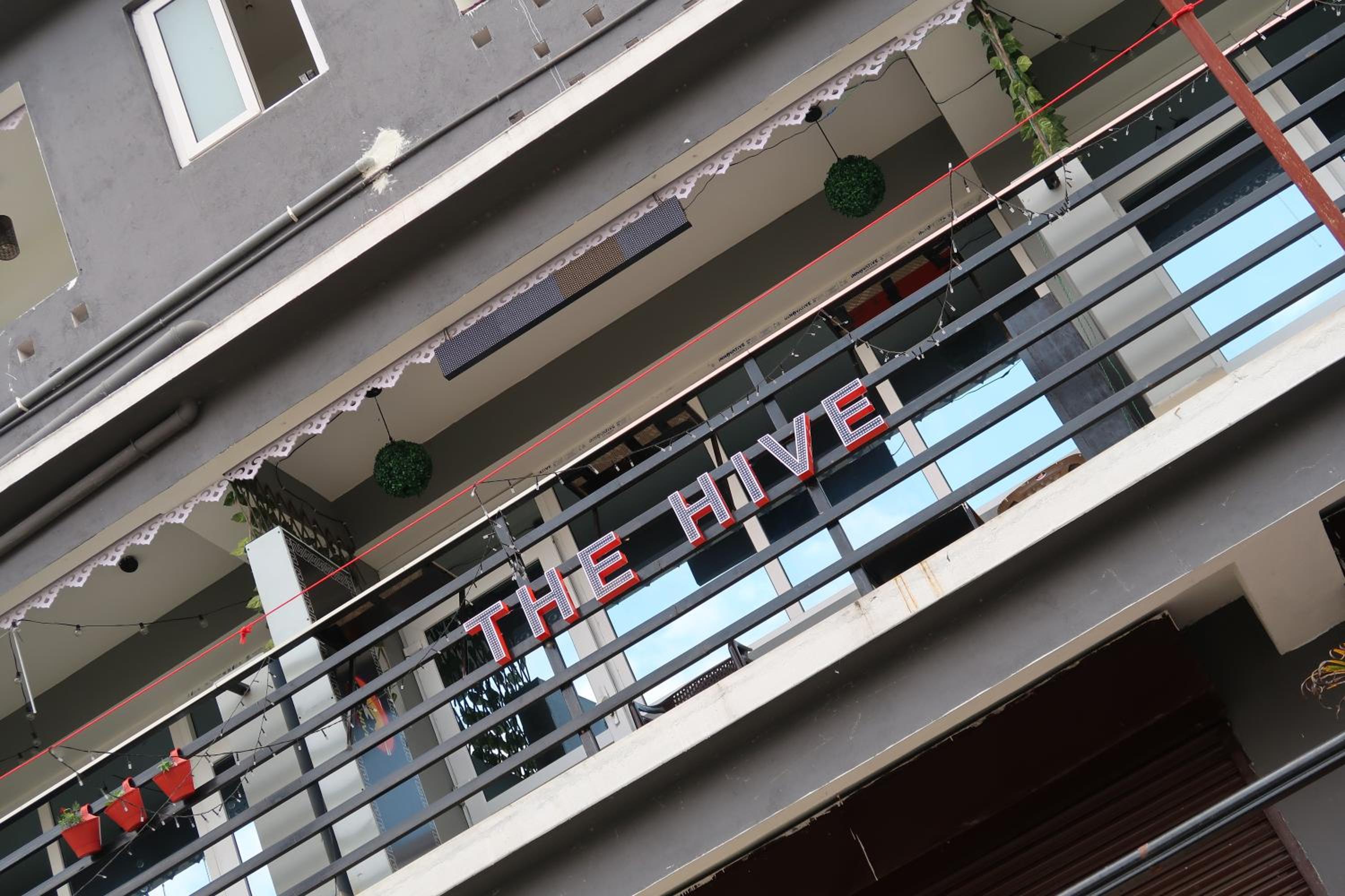 Thehivegangtok