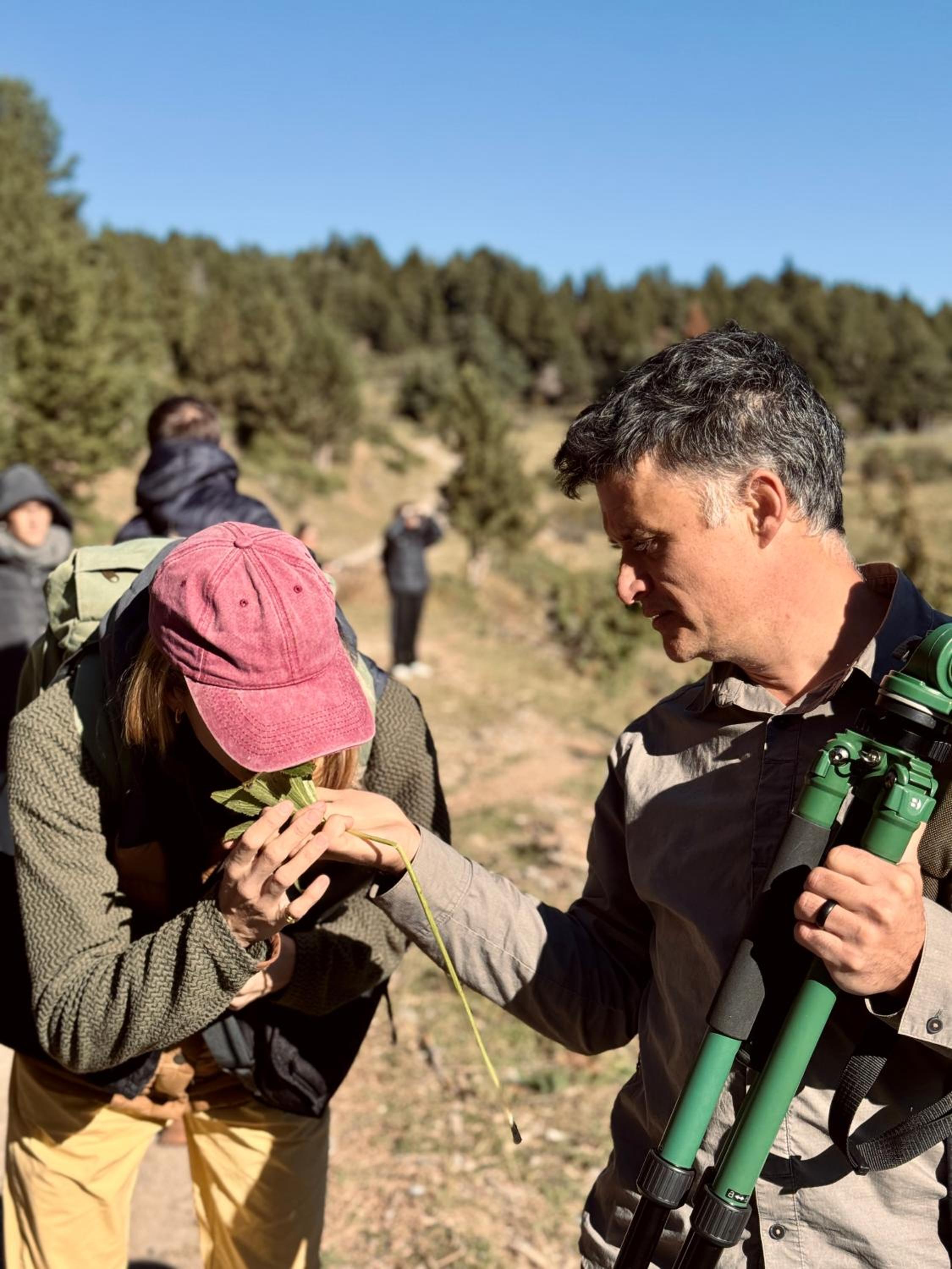 Basecamps Cerdanya