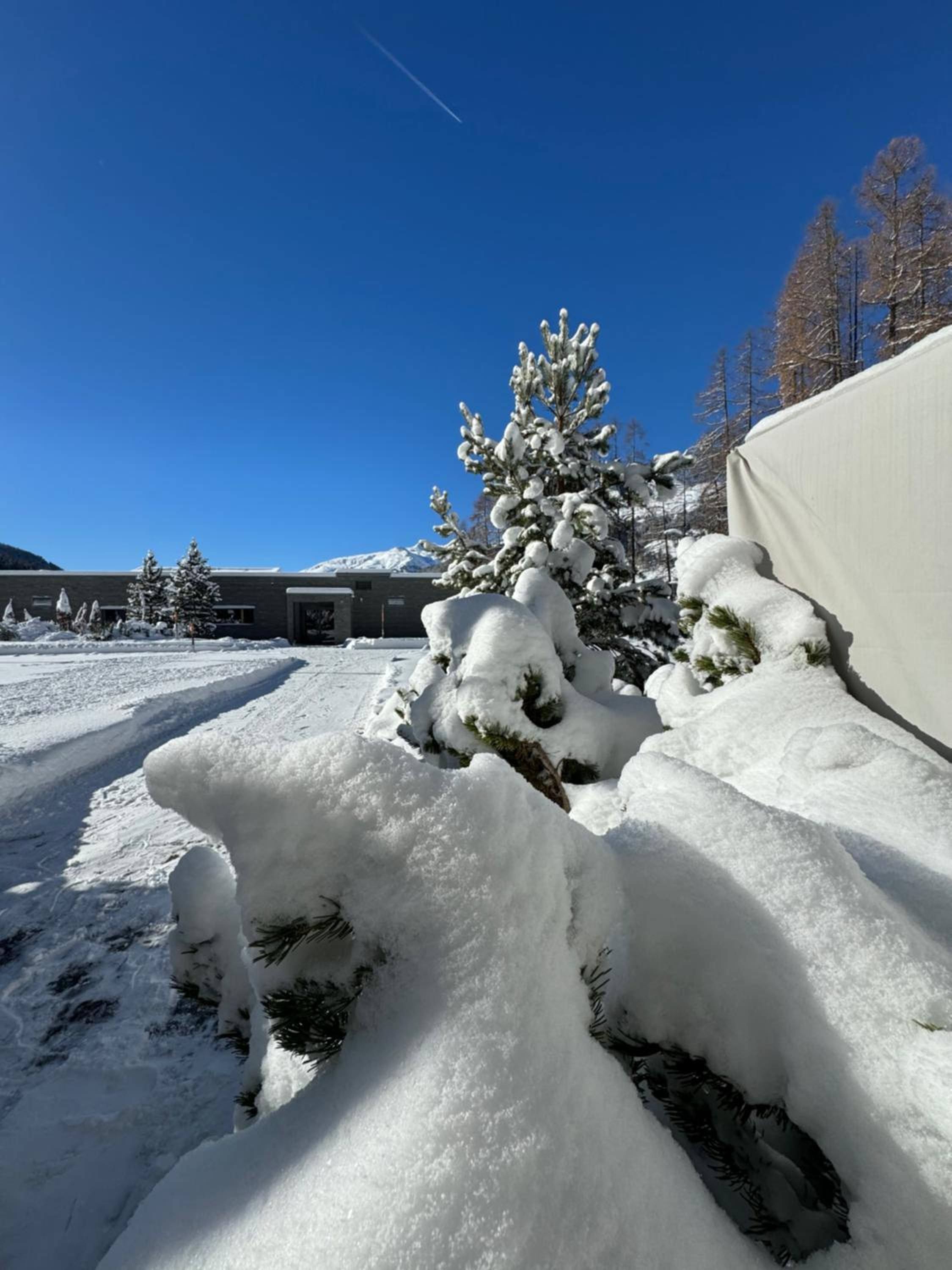 Alpine Luxury Apartment Davos with Spa Access to 5 Star Hotel