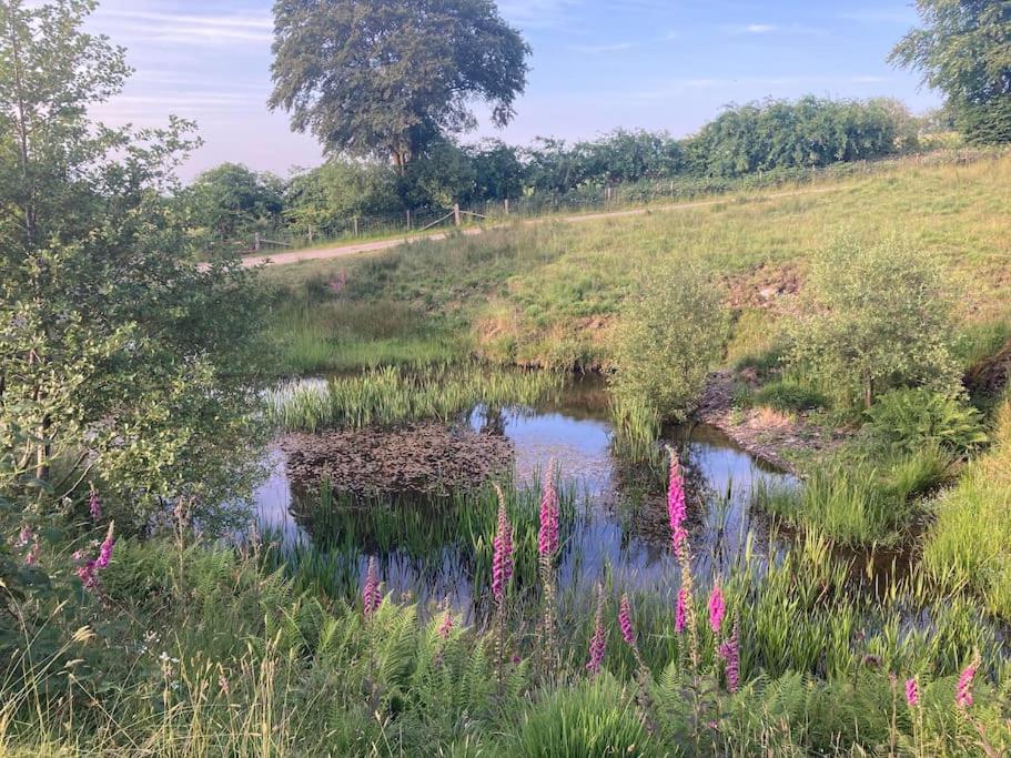 Blaengwen Bach