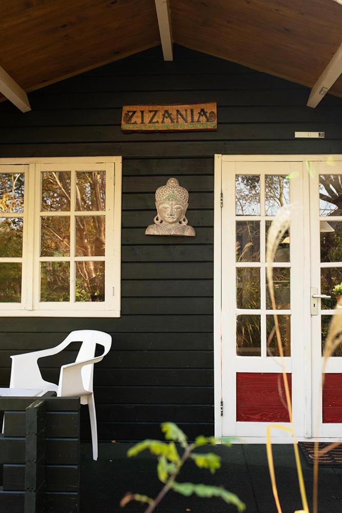 Zizania view 4