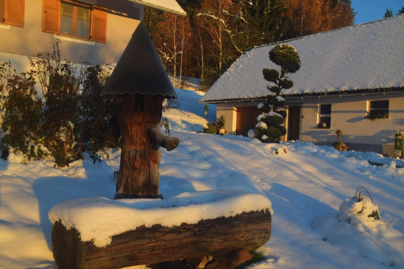 Ferienhaus Masser