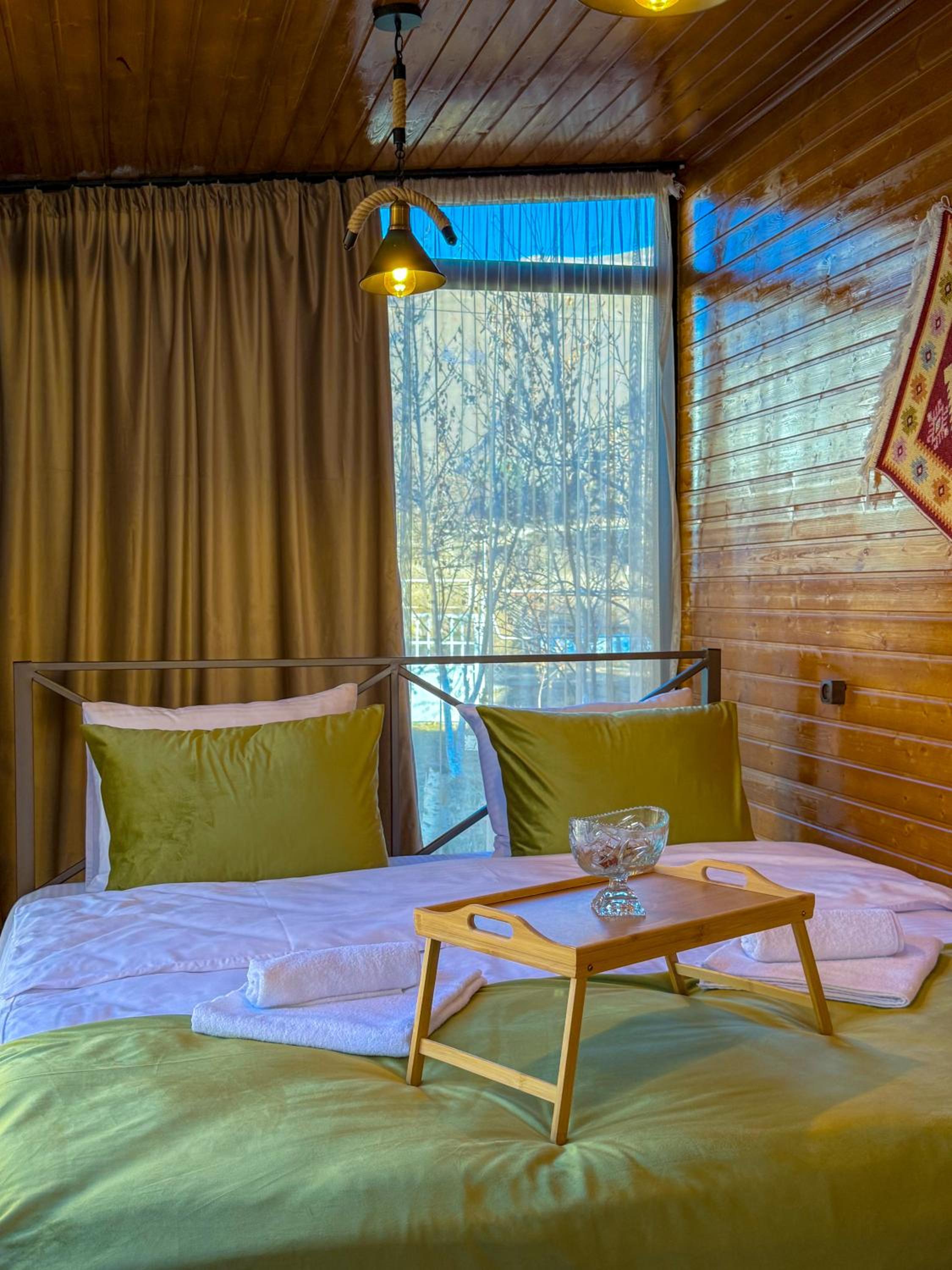 Donata Cottages kazbegi view 3