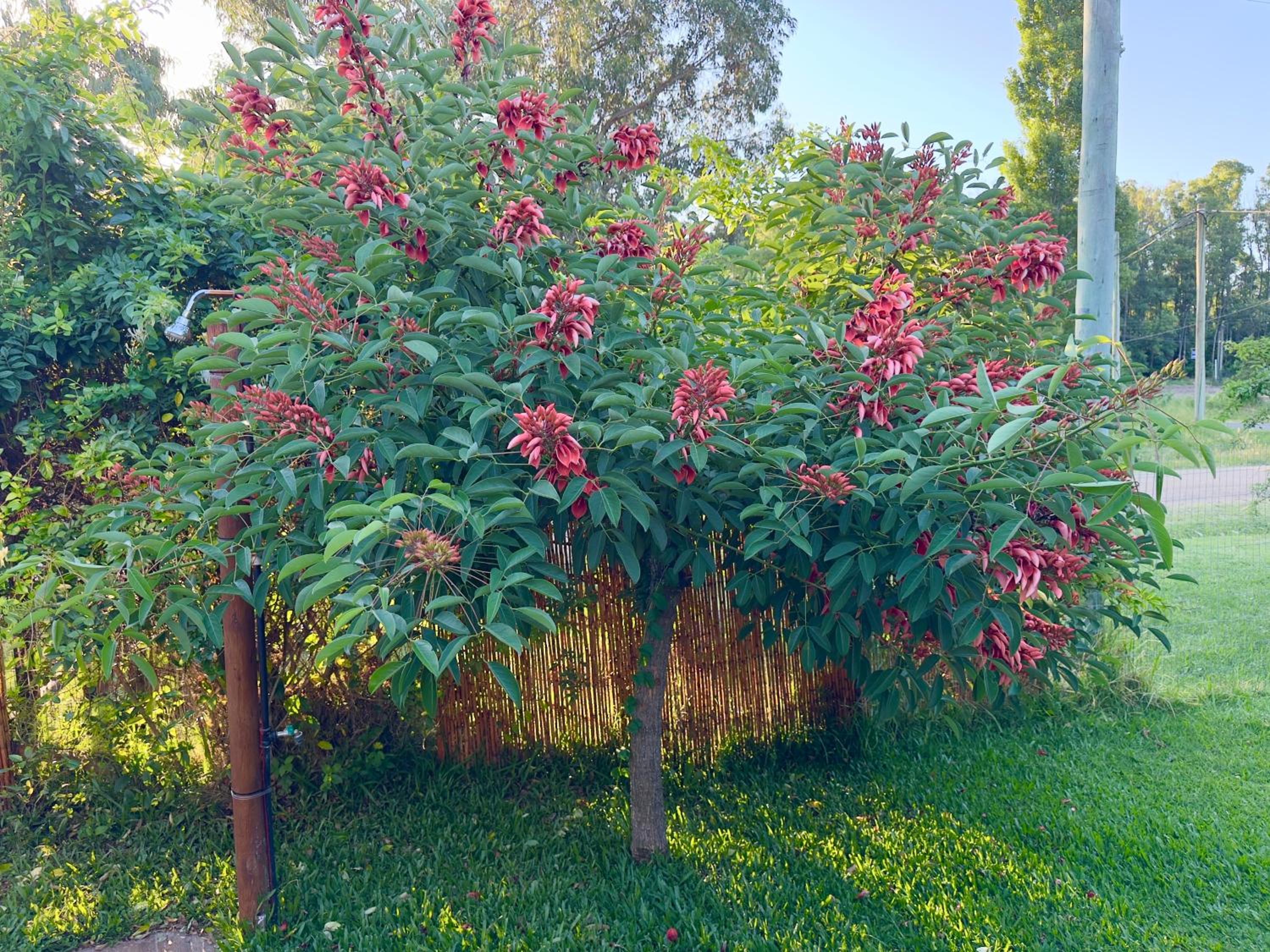 Photo 20