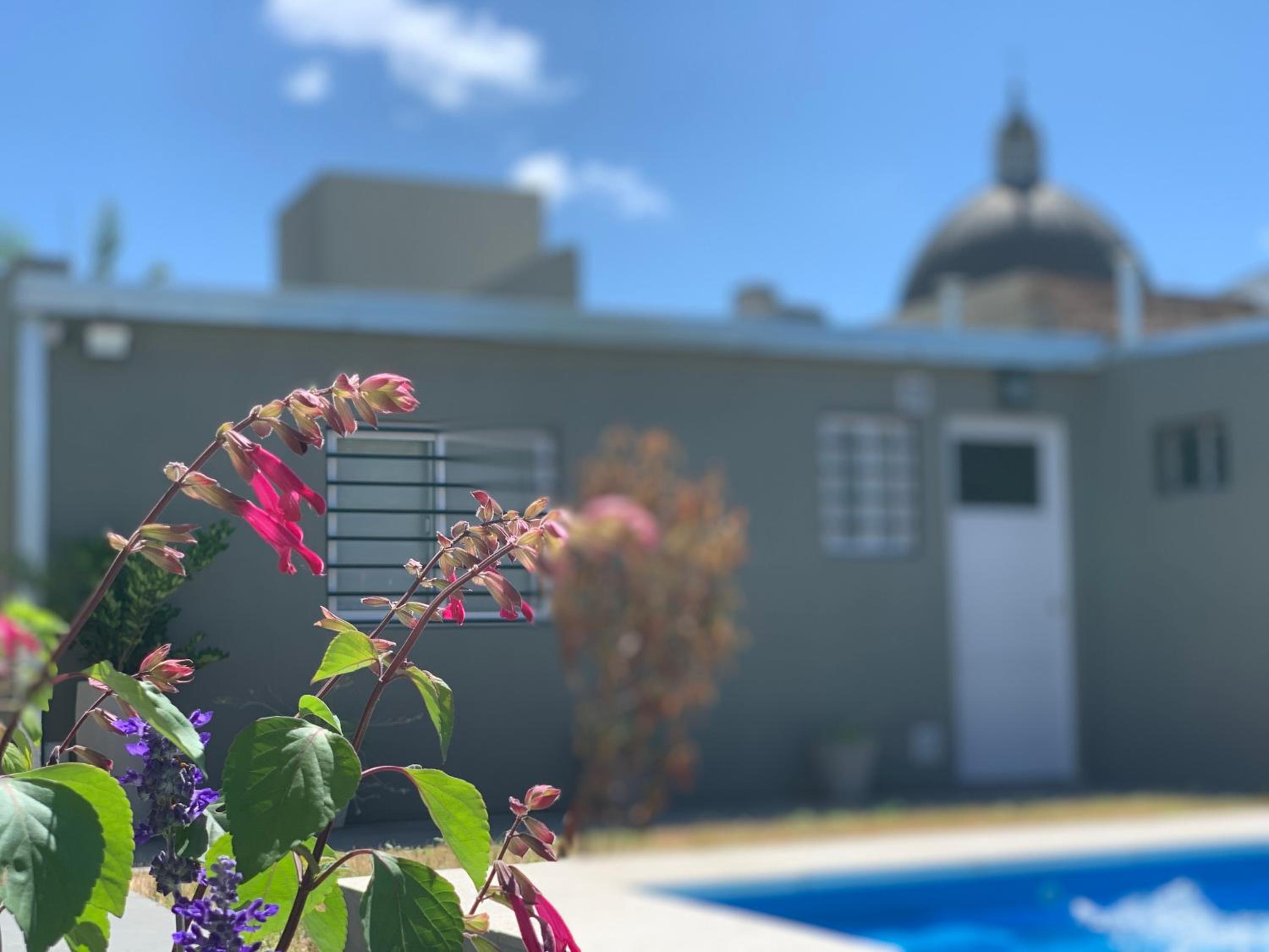 Apartamentos Colibrí