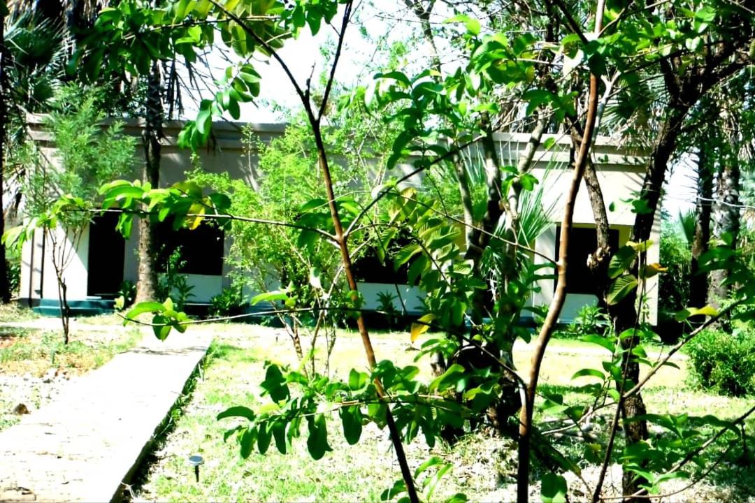 Photo 25