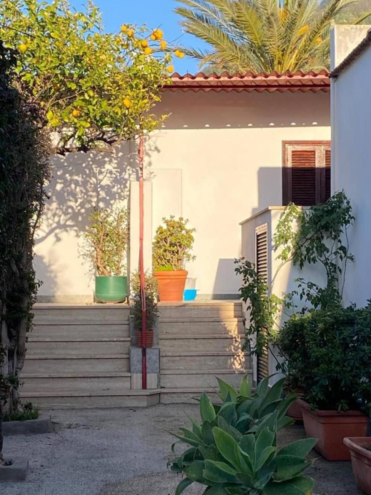 Villa Calise photo 2